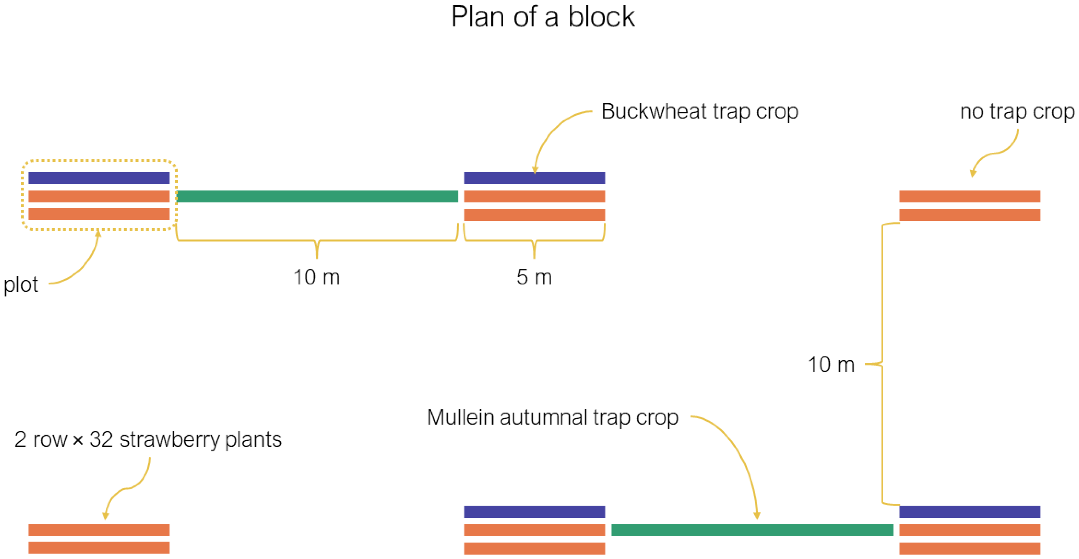 Insects 13 00441 g001 550