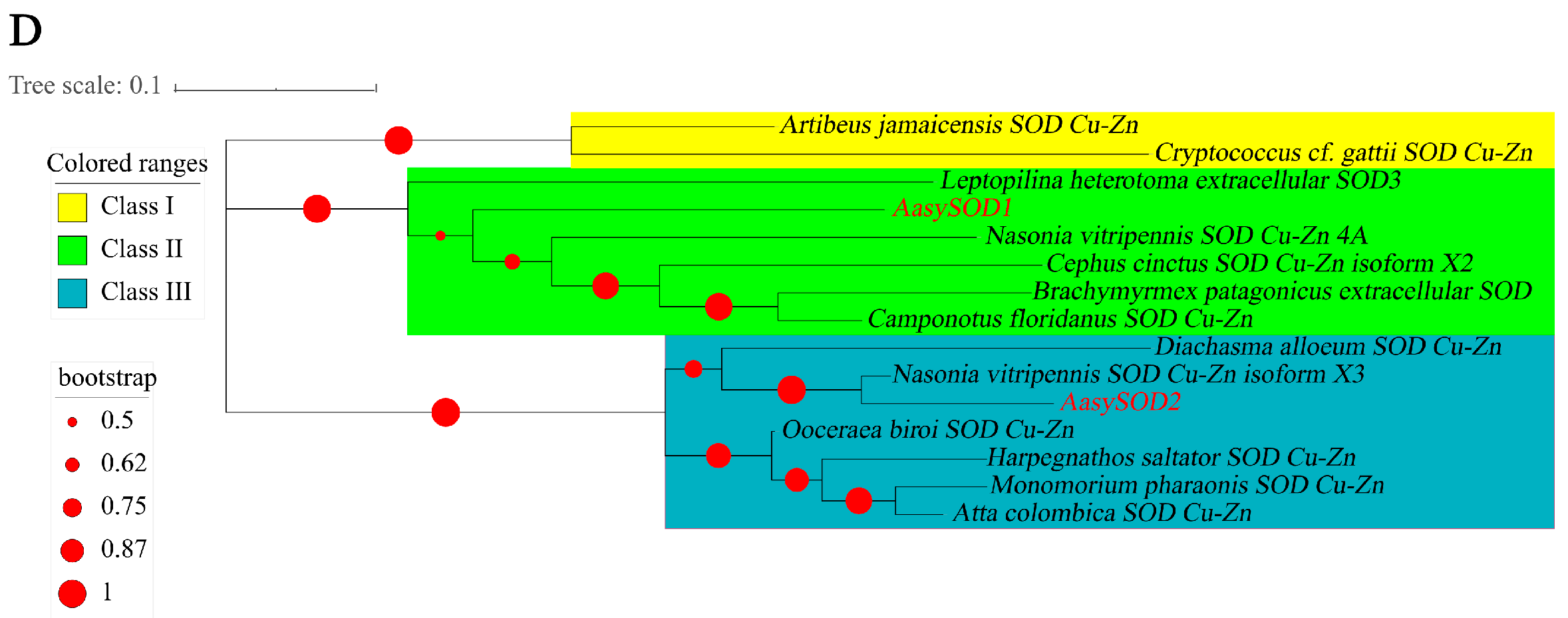 Insects 13 00447 g002b 550