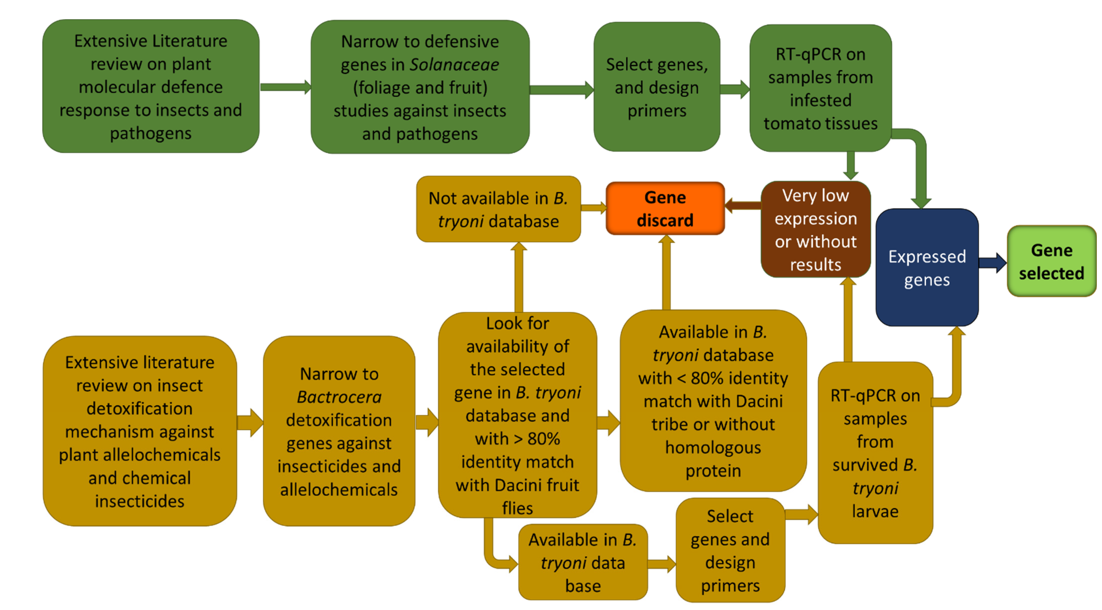 Insects 13 00451 g001