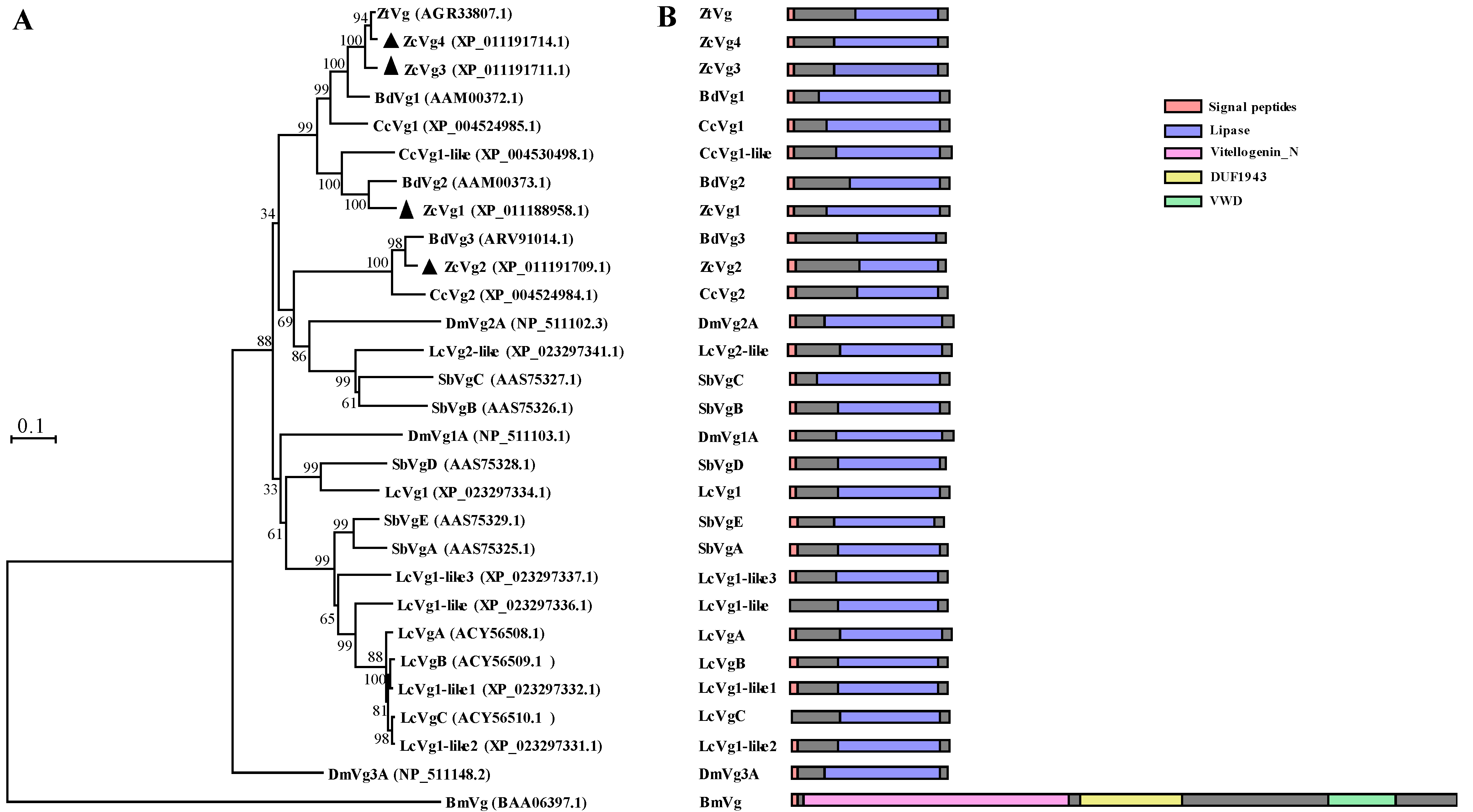 Insects 13 00452 g002 550