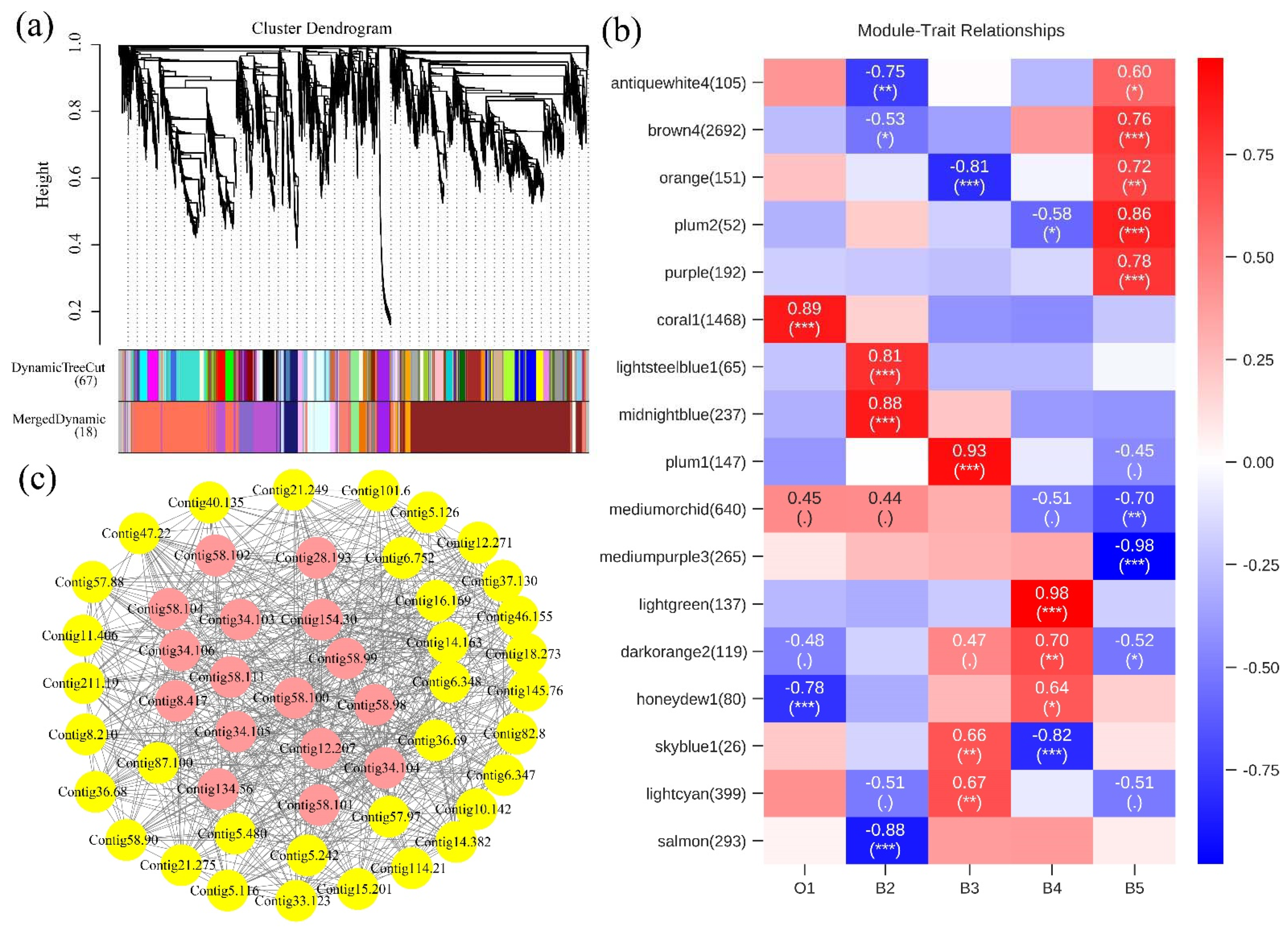 Insects 13 00453 g007 Insects 13 00453 g007