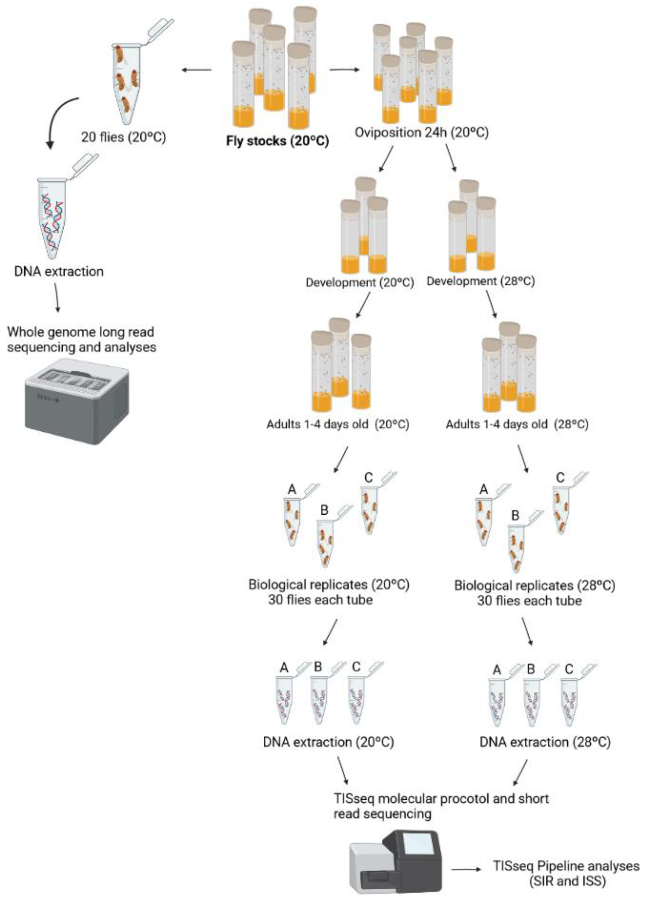 Insects 13 00454 g002