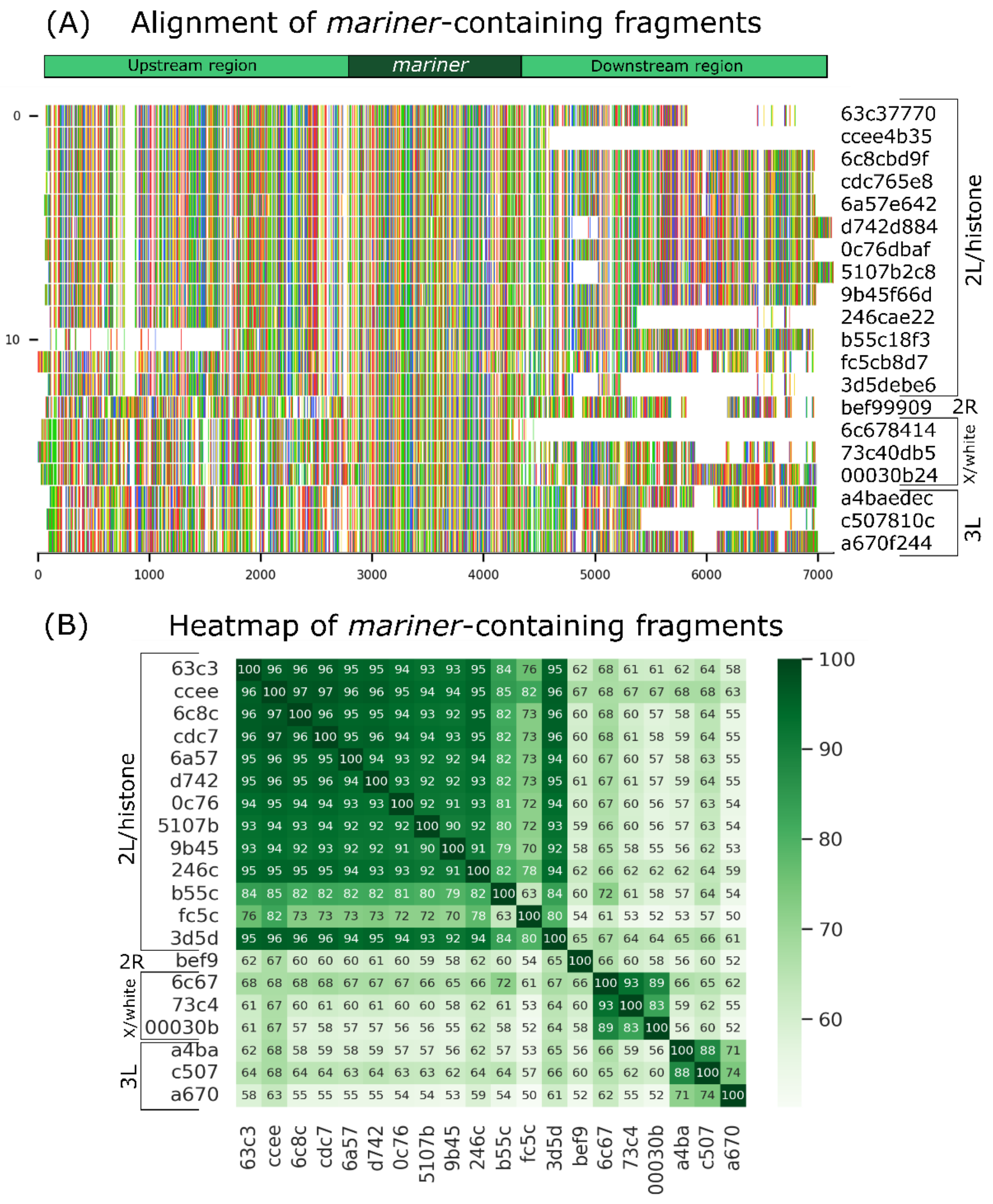 Insects 13 00454 g005