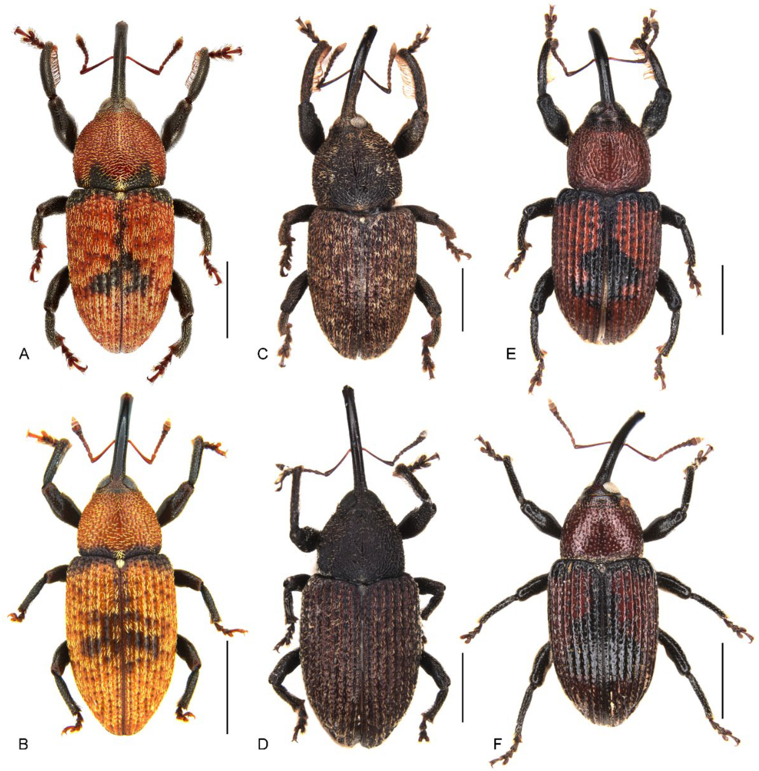 Insects 13 00456 g001 Insects 13 00456 g001