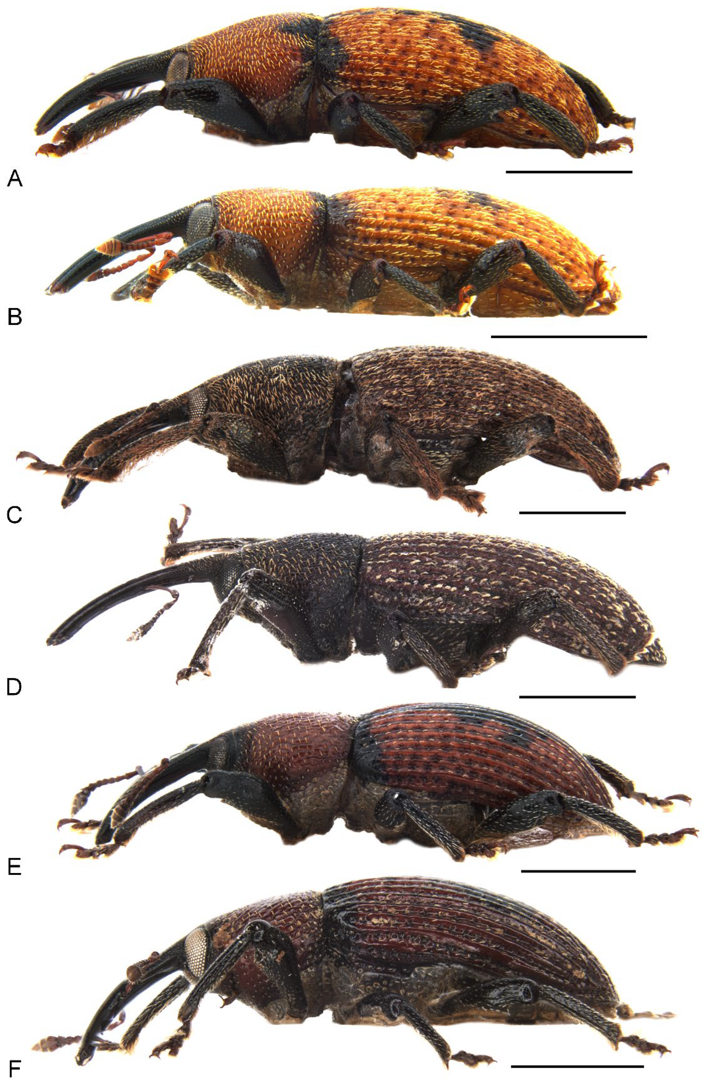 Insects 13 00456 g002 Insects 13 00456 g002