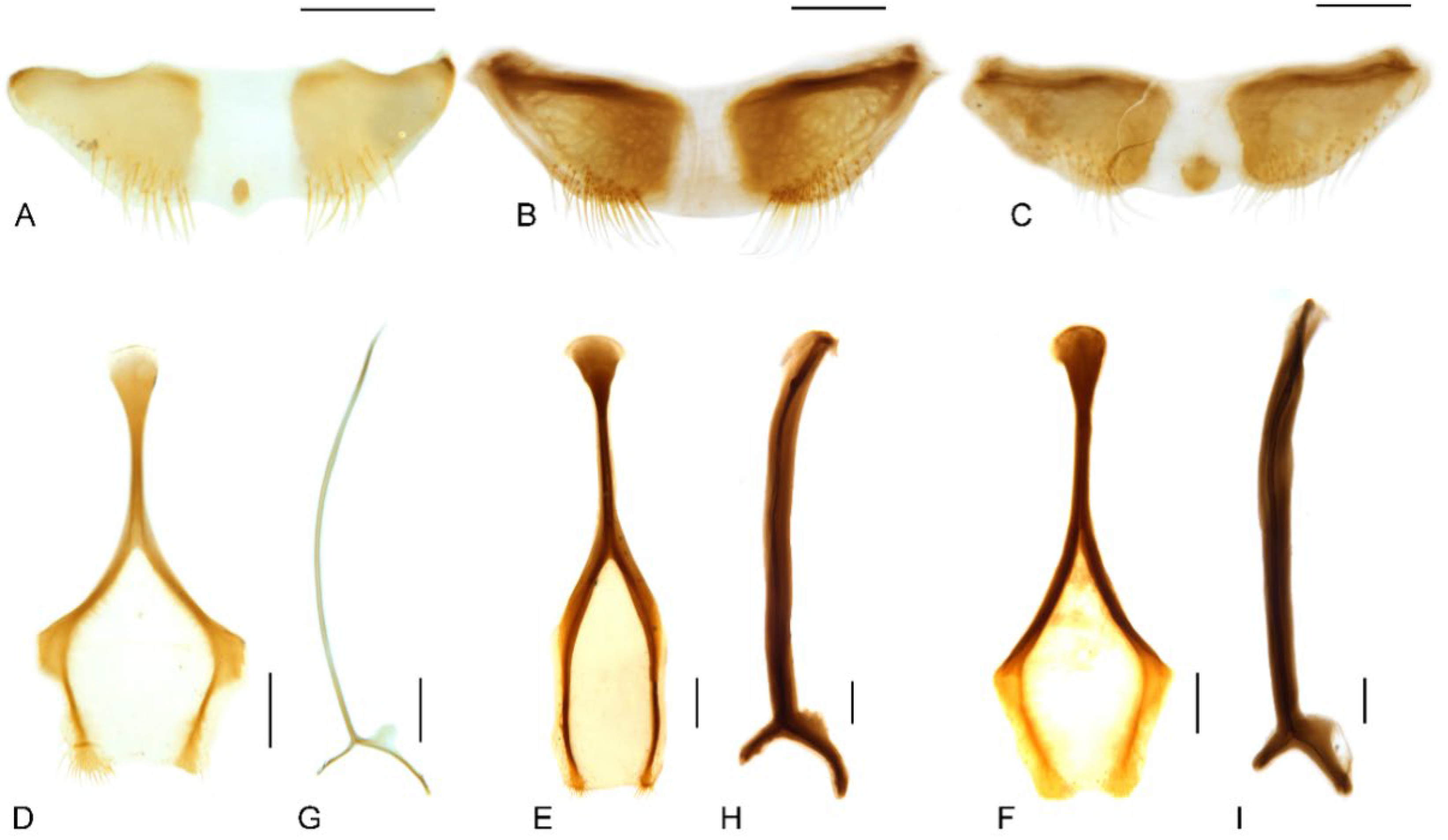 Insects 13 00456 g008 Insects 13 00456 g008