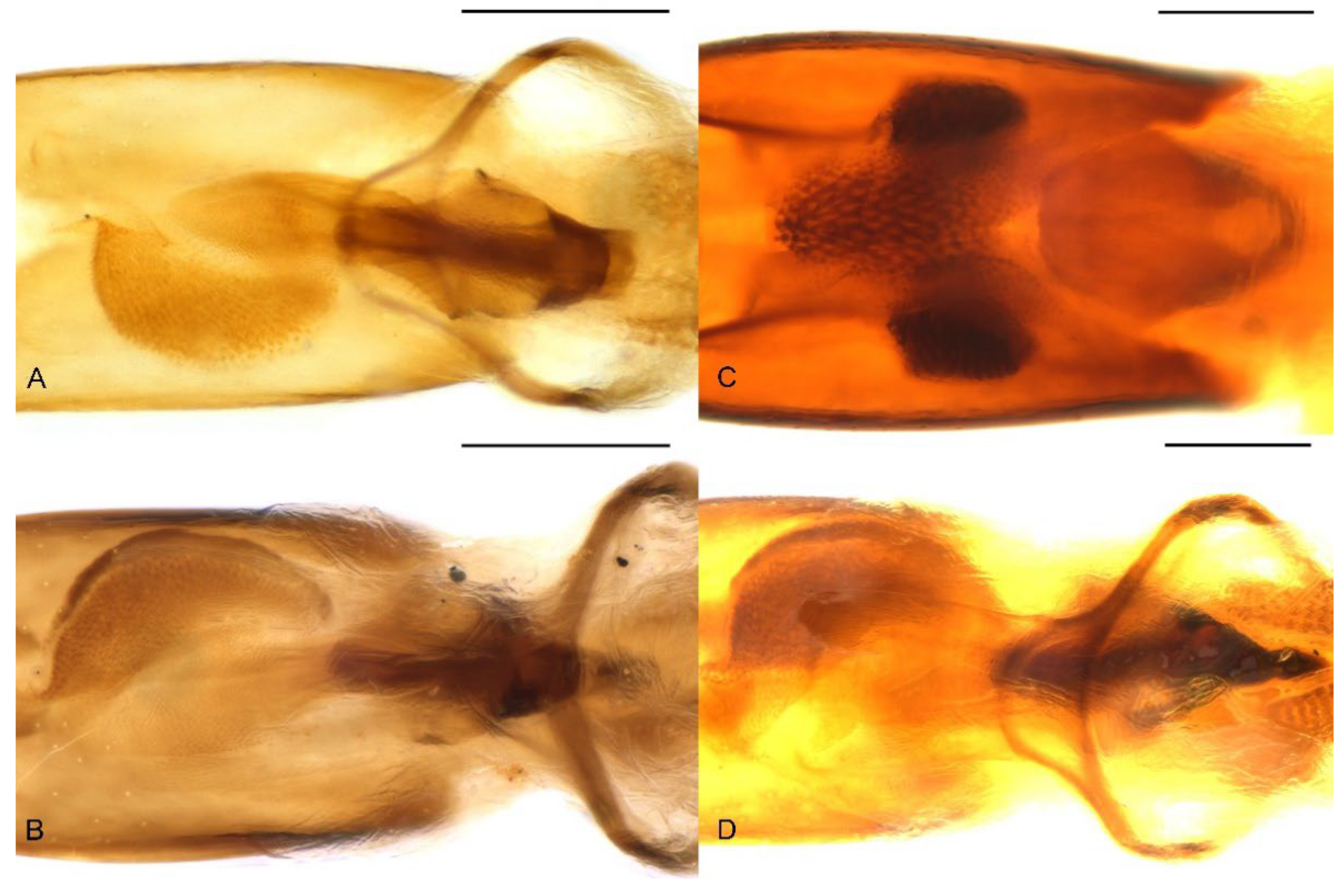 Insects 13 00456 g010 Insects 13 00456 g010