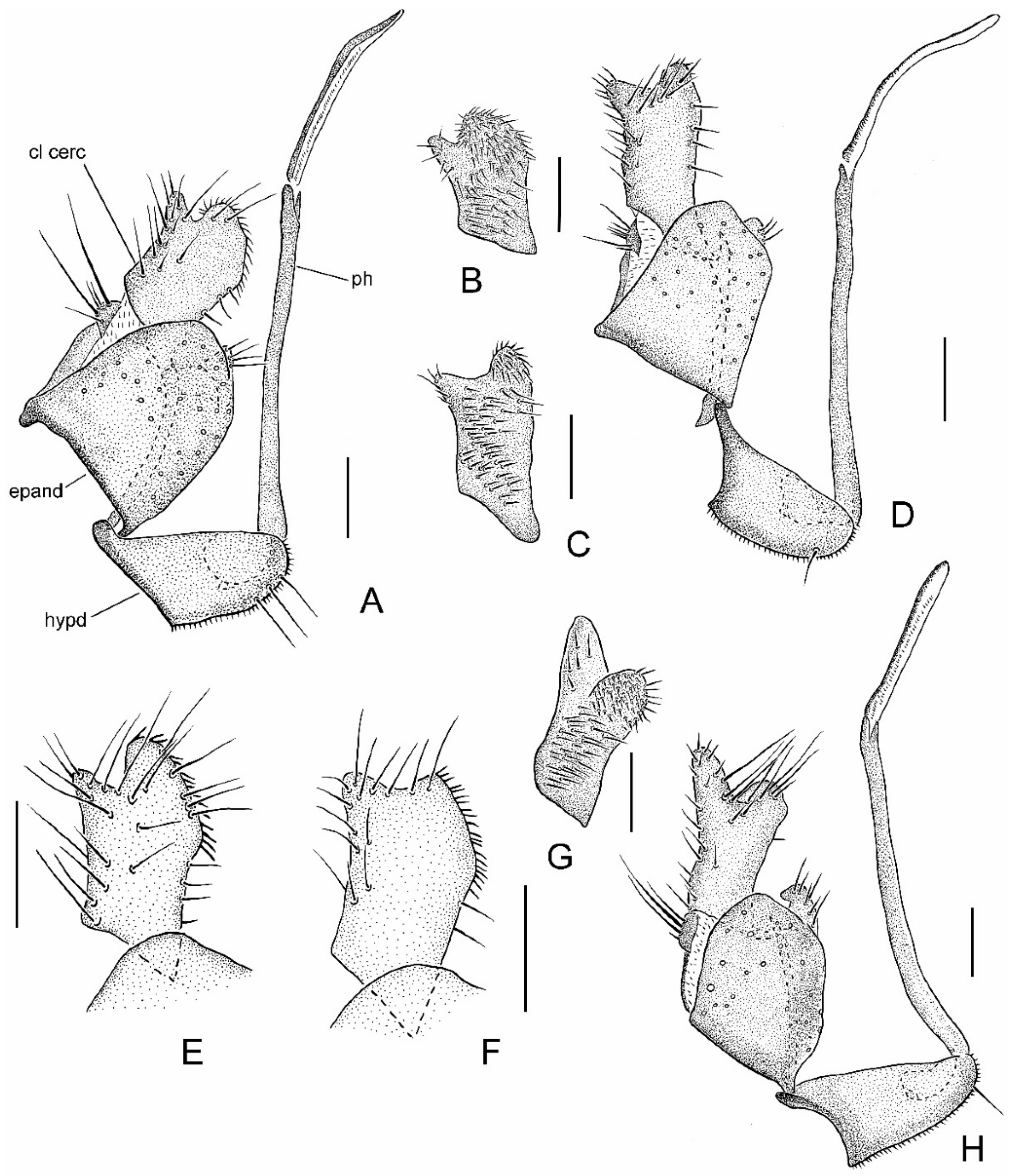 Insects 13 00460 g003