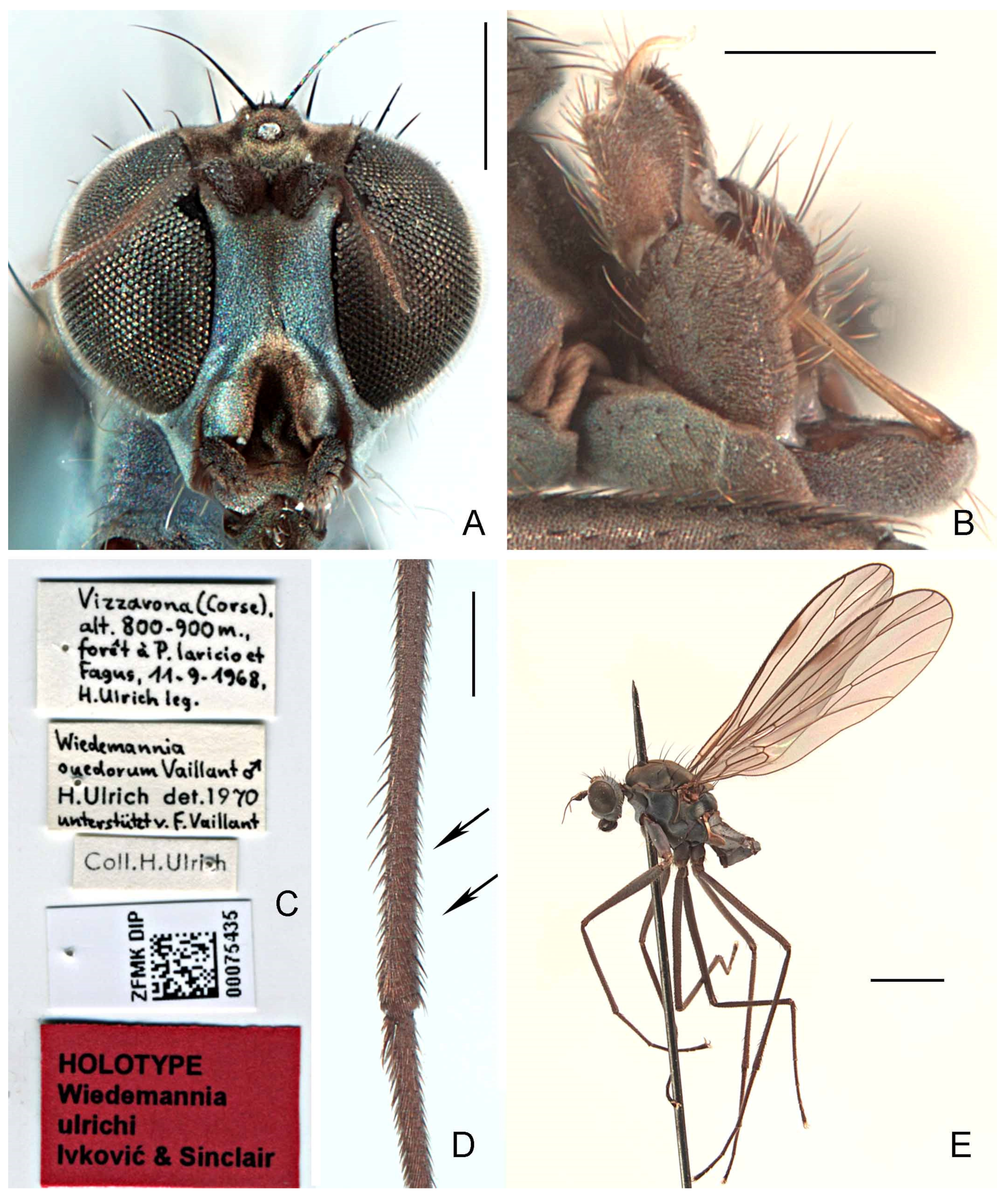 Insects 13 00460 g007