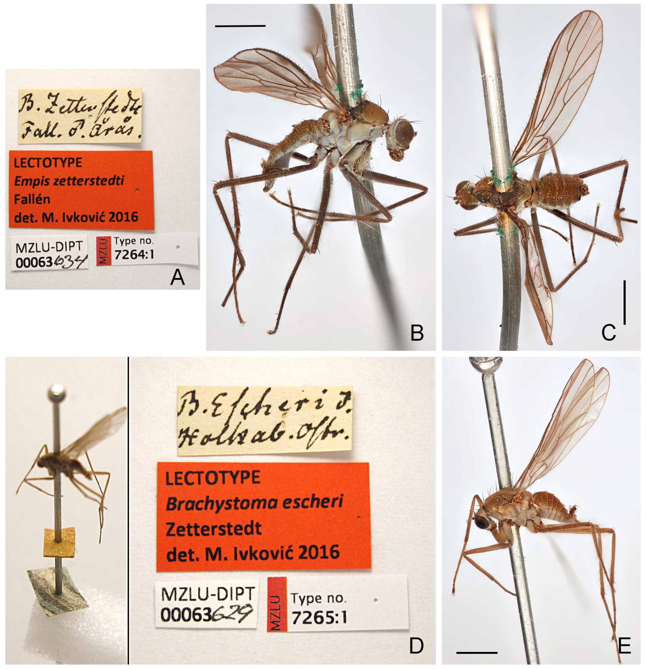 Insects 13 00460 g008