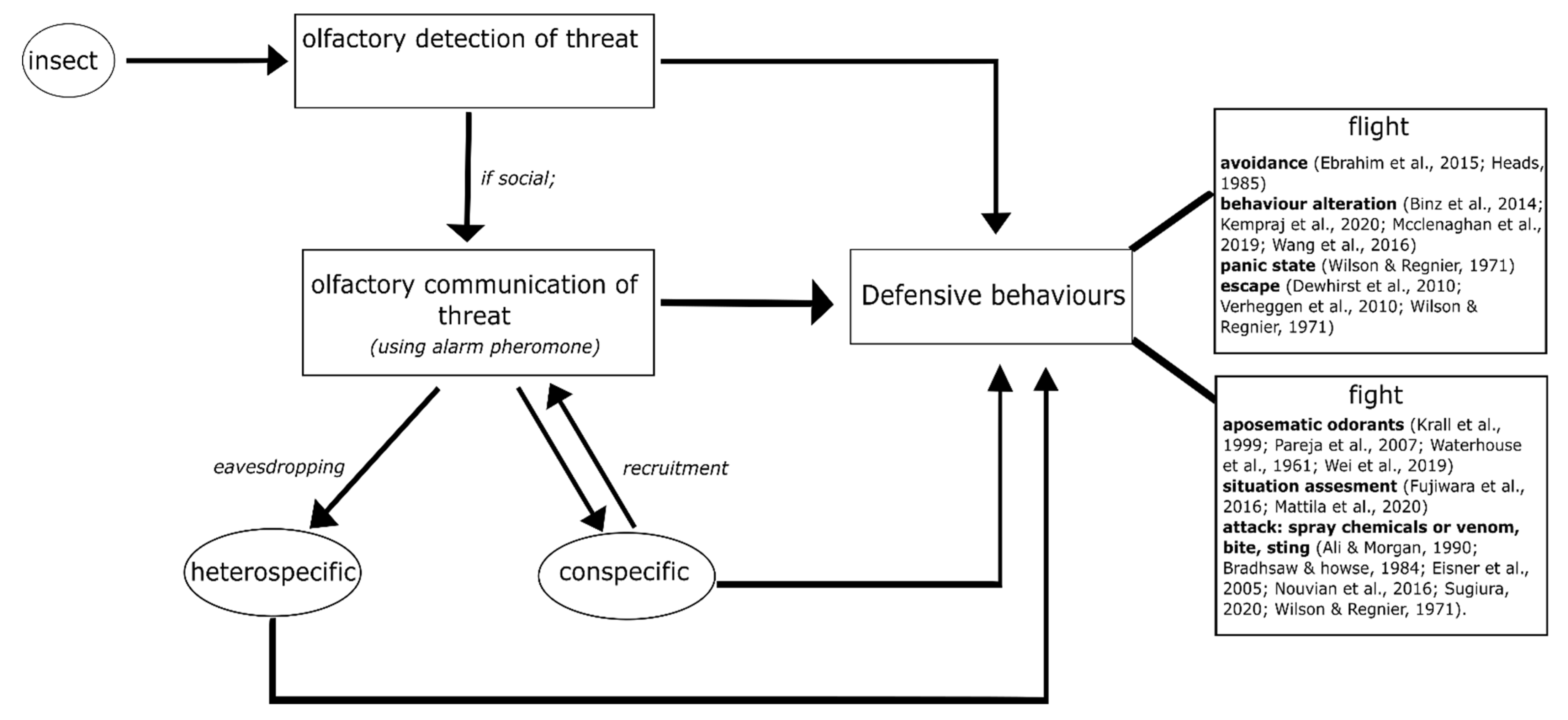 Insects | Free Full-Text | Olfactory Strategies in the Defensive Behaviour  of Insects