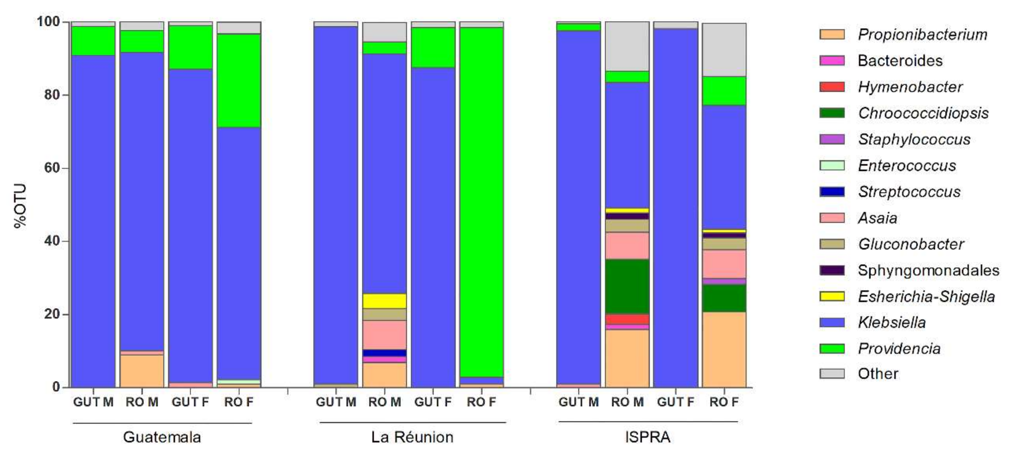 Insects 13 00474 g002