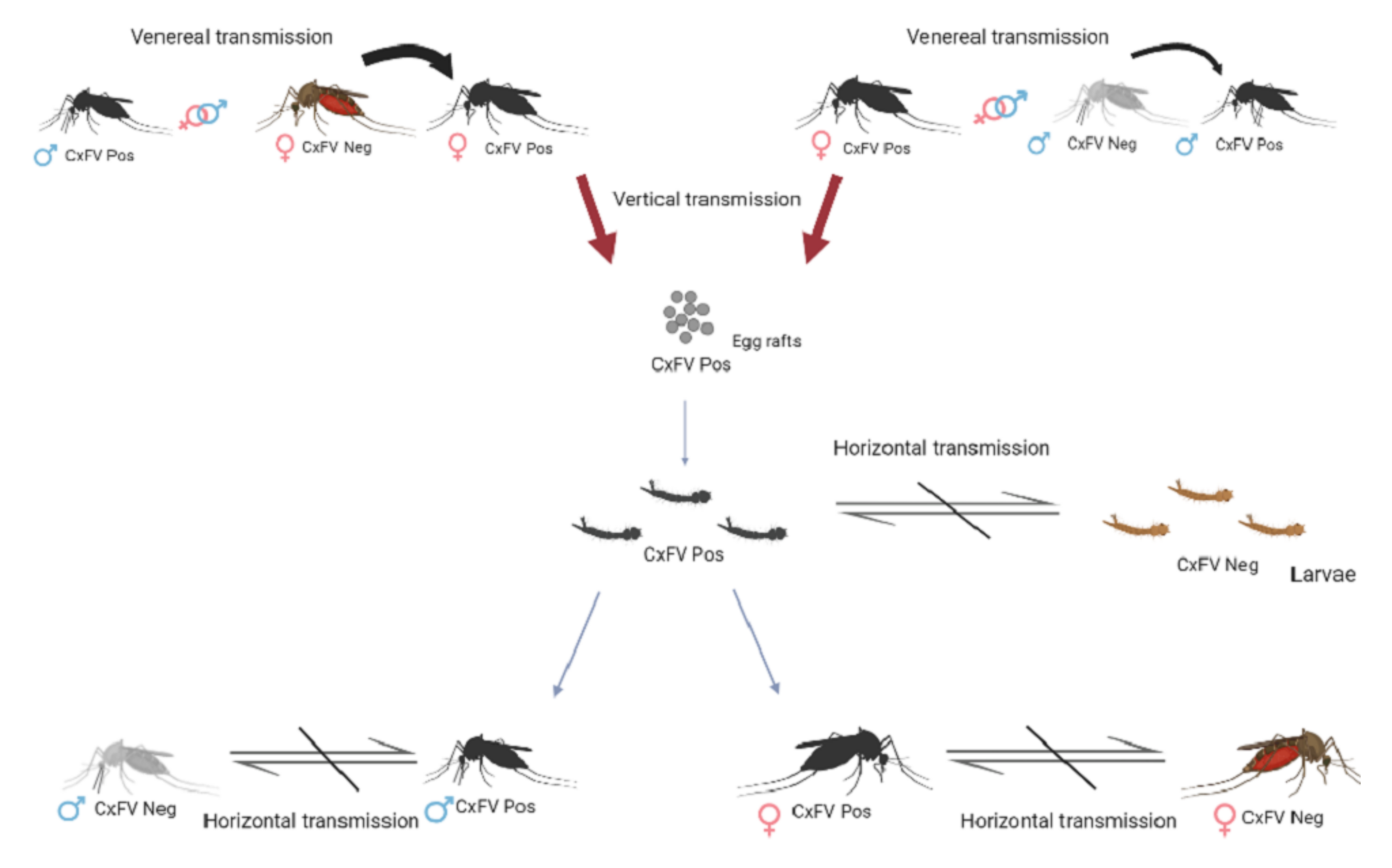 Insects 13 00477 g001 550