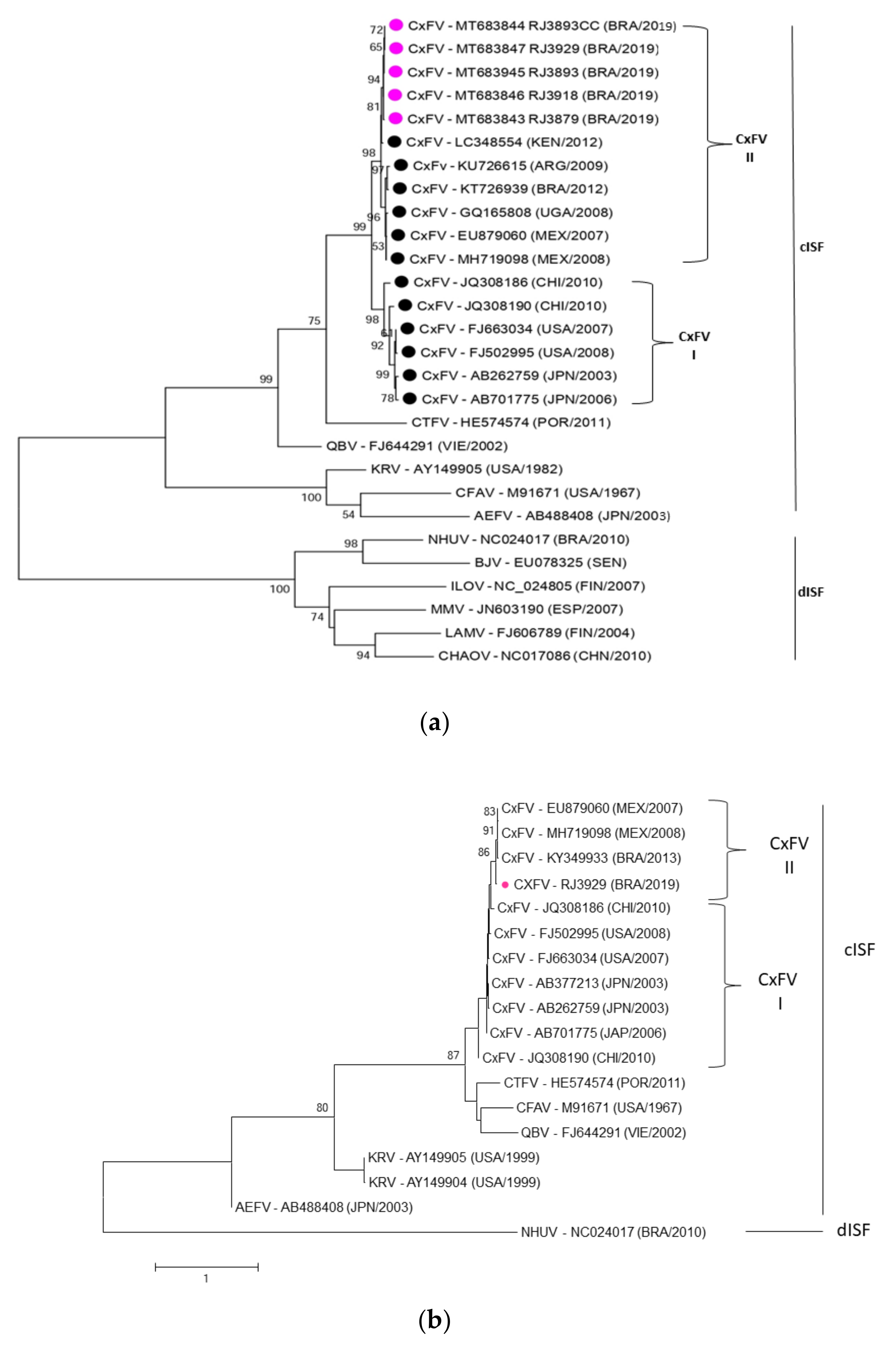 Insects 13 00477 g006 550