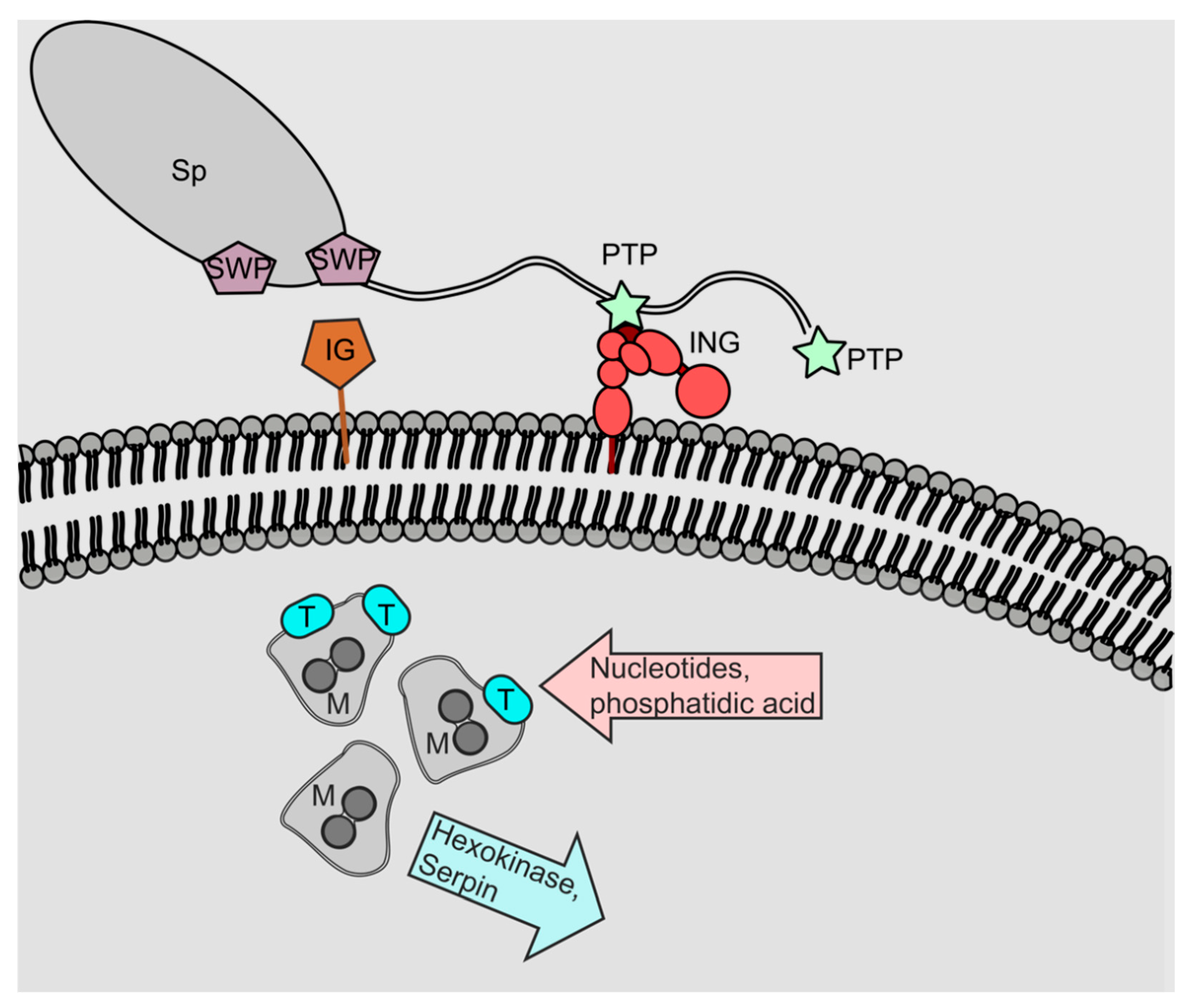 Insects 13 00482 g007 550