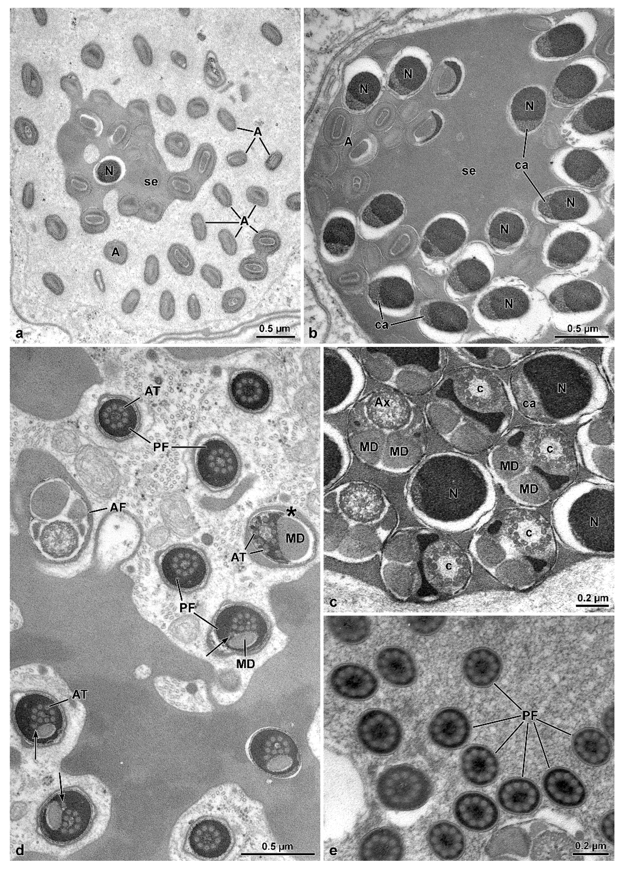 Insects 13 00485 g004 550