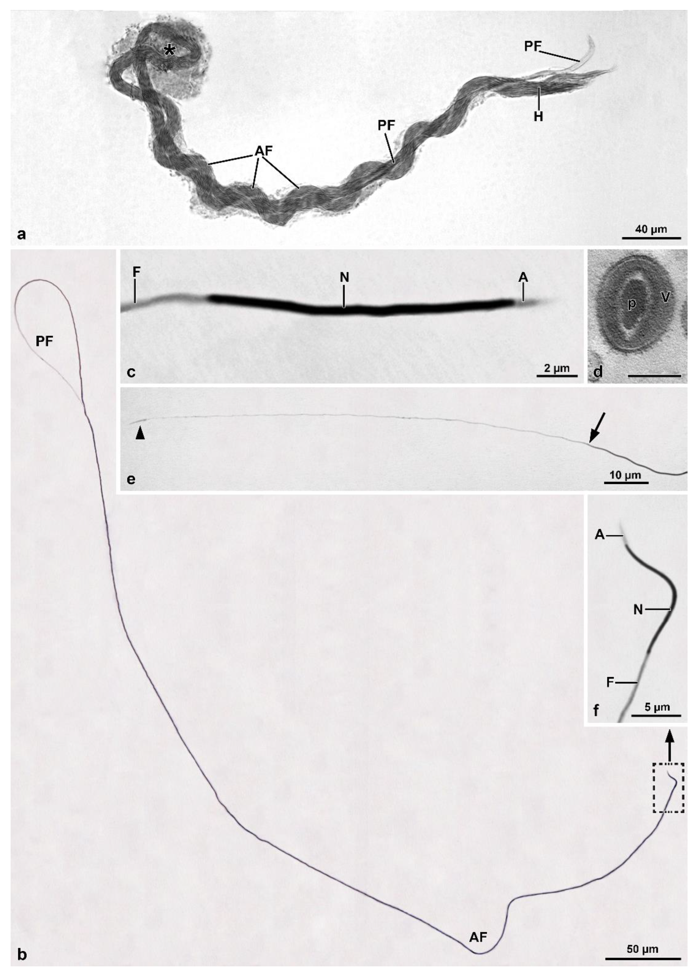 Insects 13 00485 g007 550