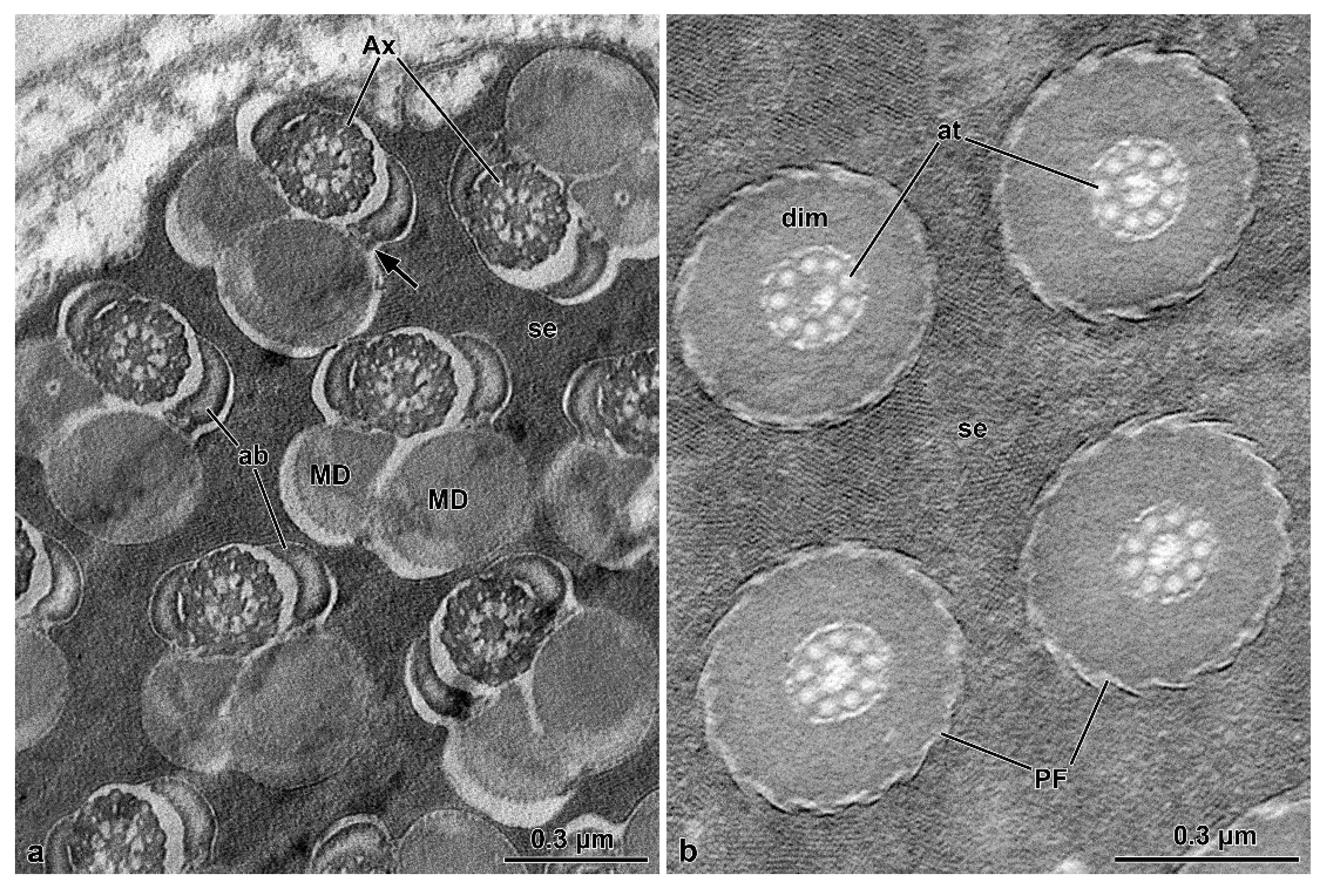 Insects 13 00485 g008 550