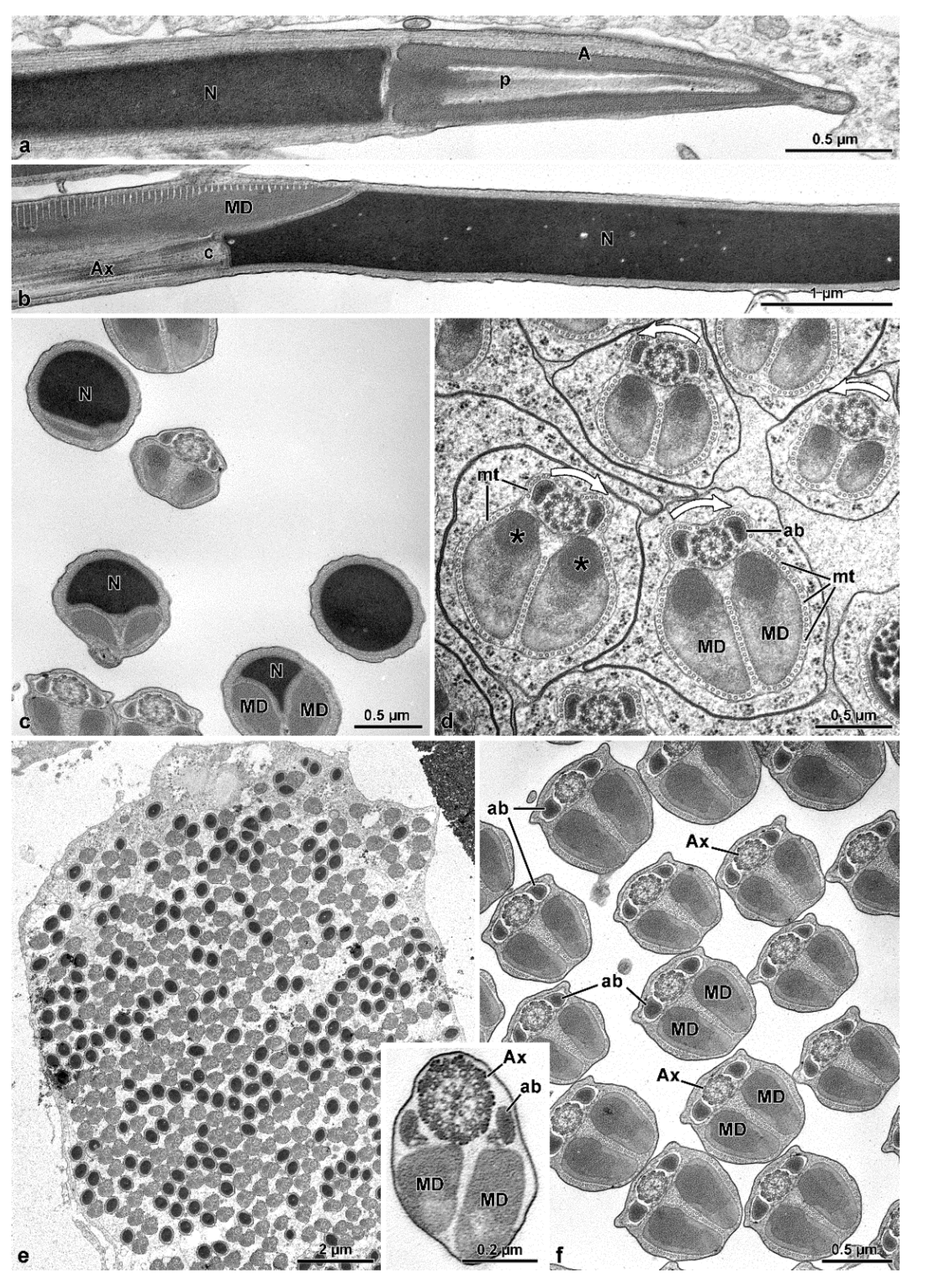 Insects 13 00485 g012 550