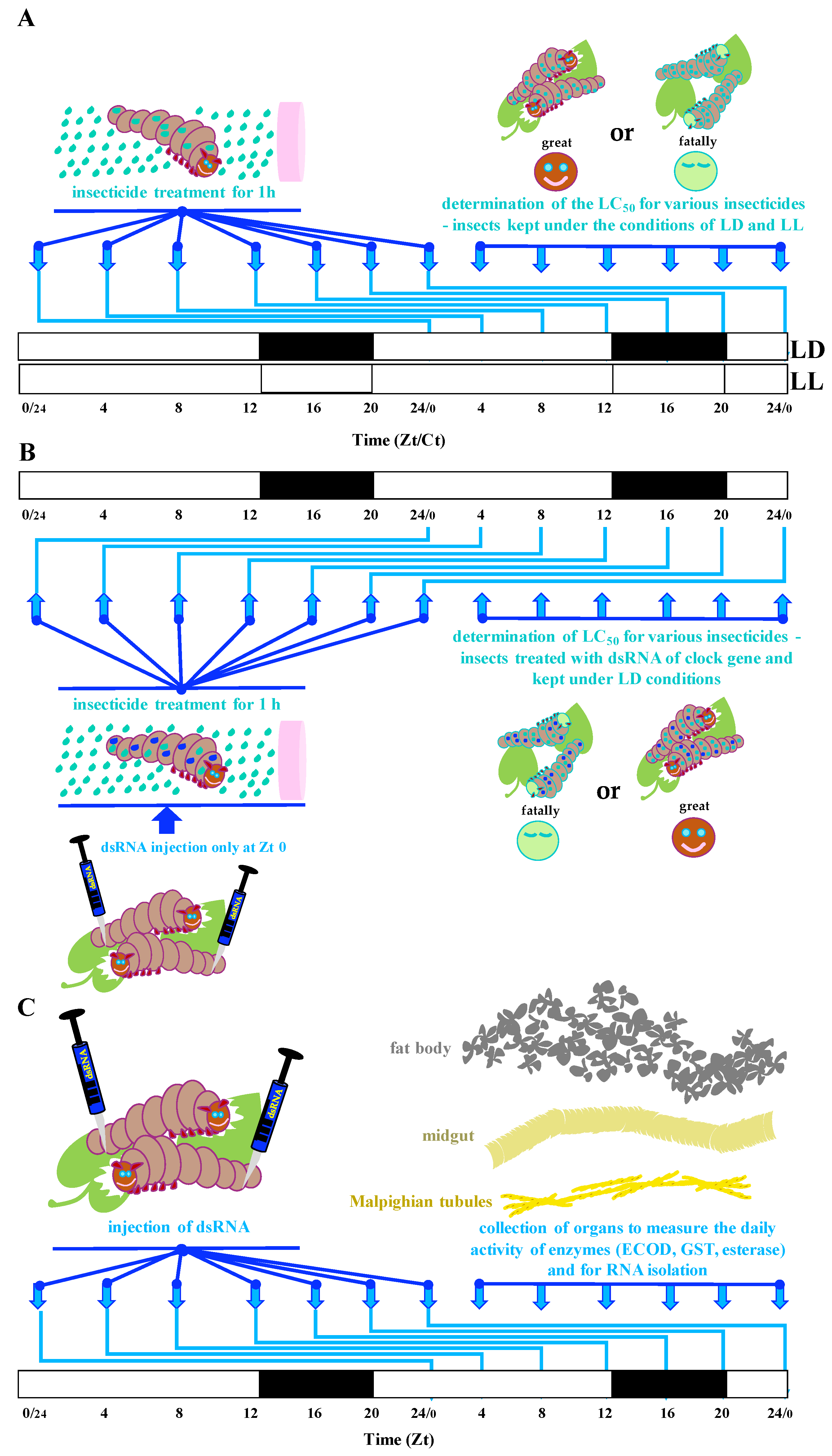 Insects 13 00488 sch001
