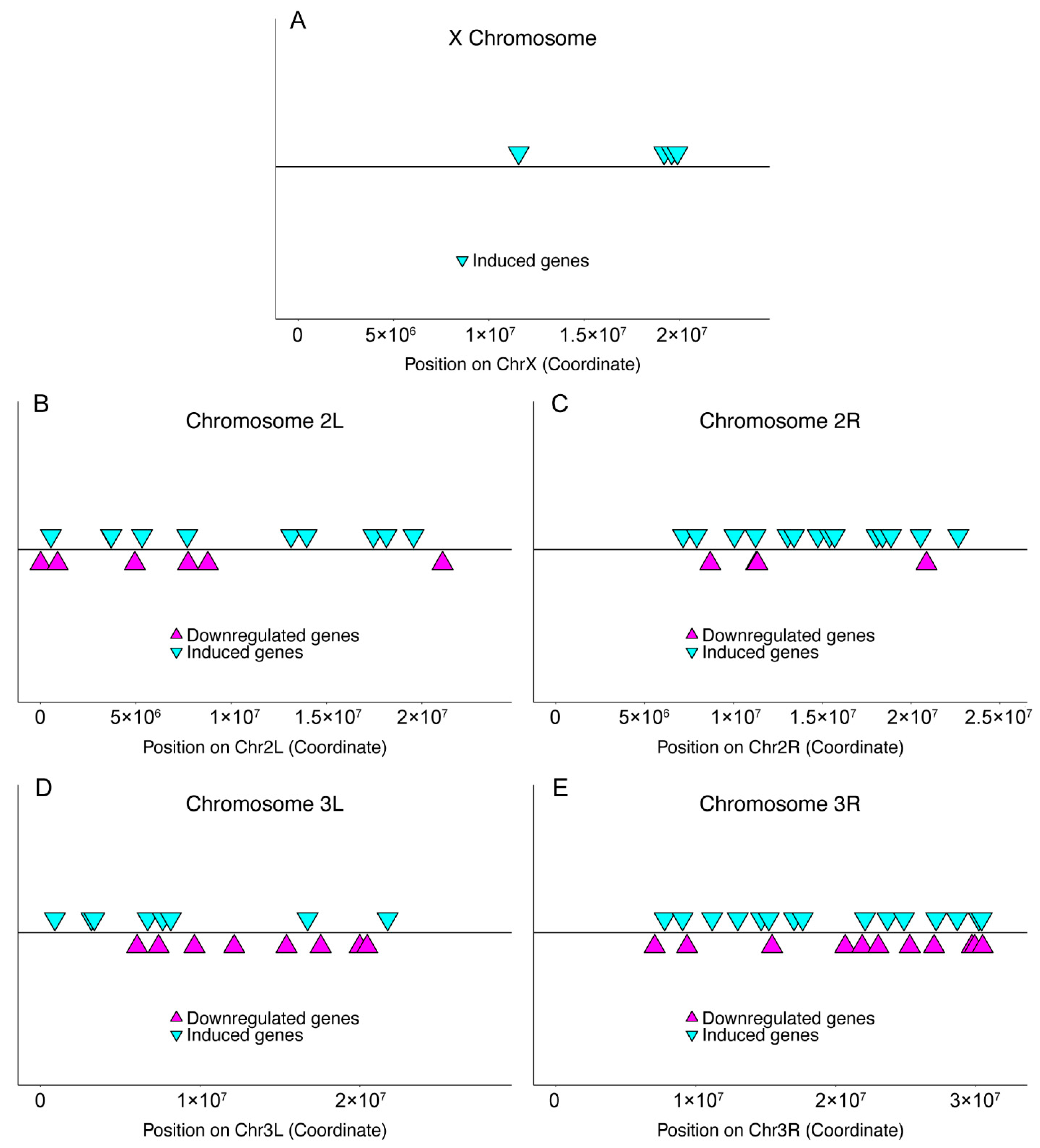 Insects 13 00490 g001 Insects 13 00490 g001