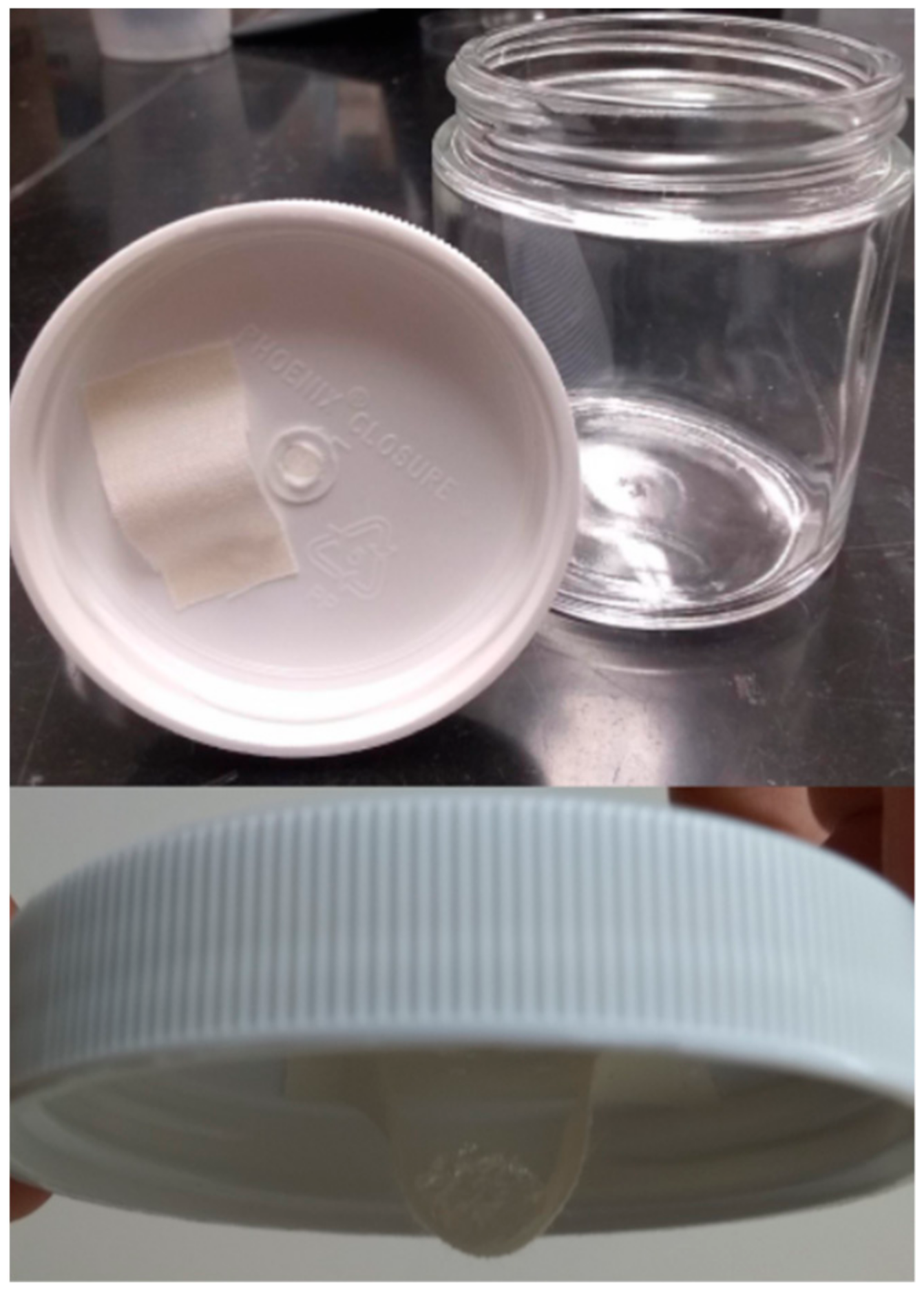 Insects 13 00493 g001 Insects 13 00493 g001