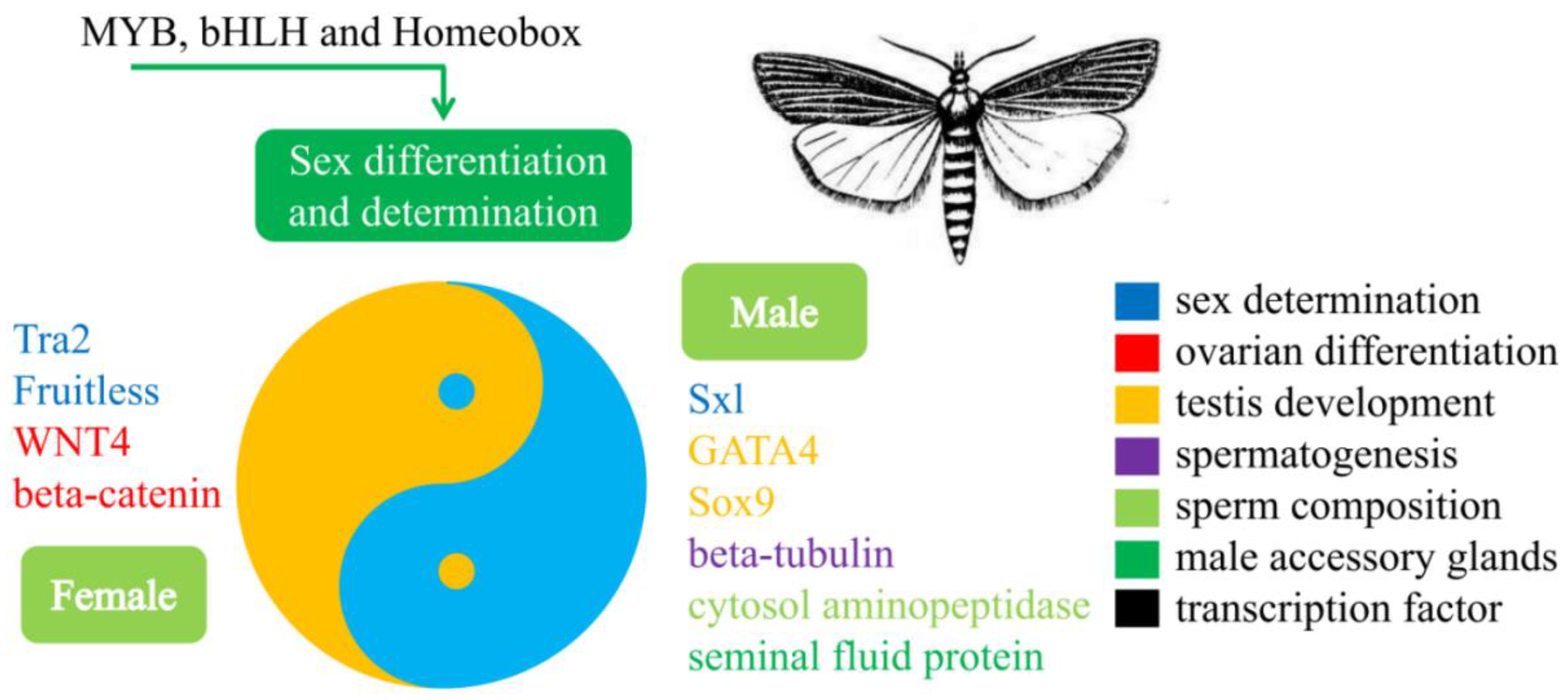 Insects 13 00500 g011 550