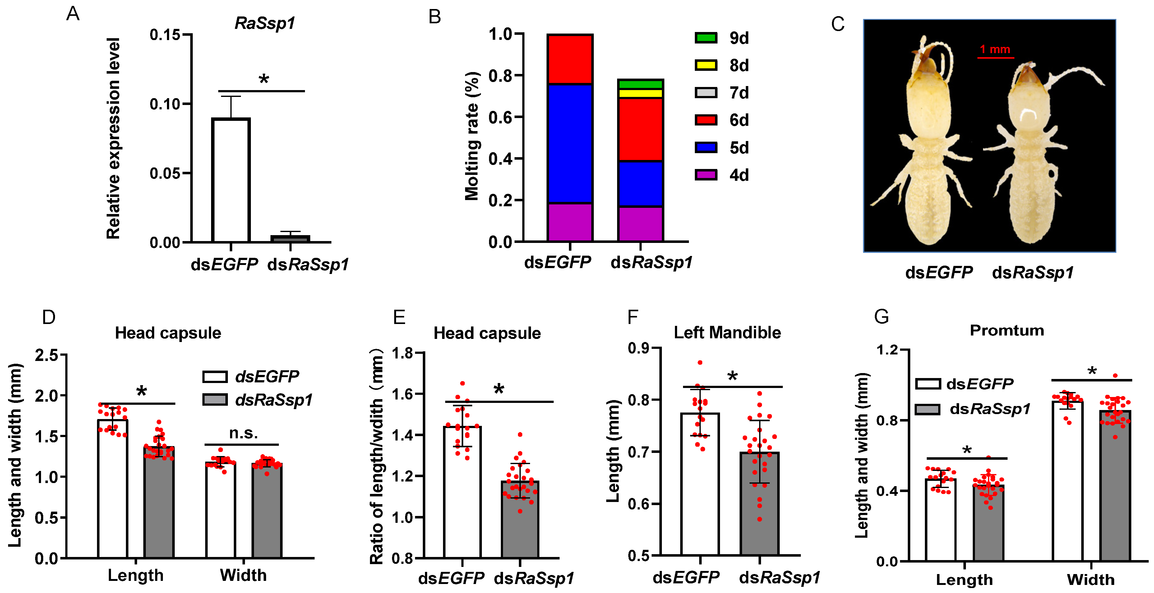 Insects 13 00502 g005 550