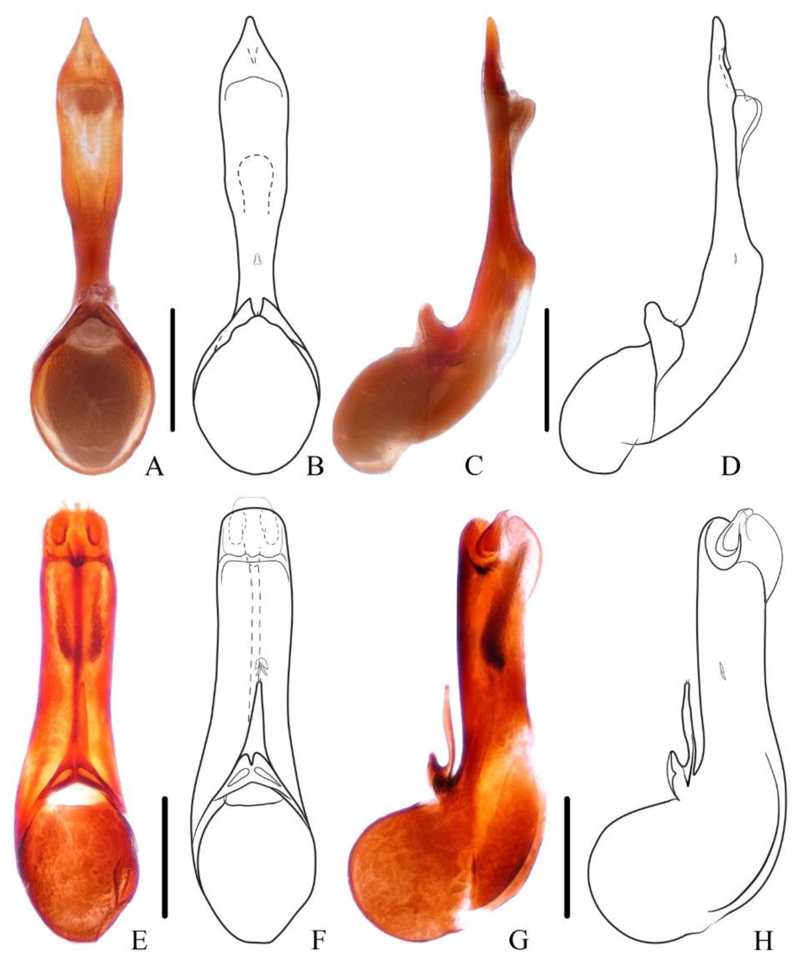 Insects 13 00503 g007