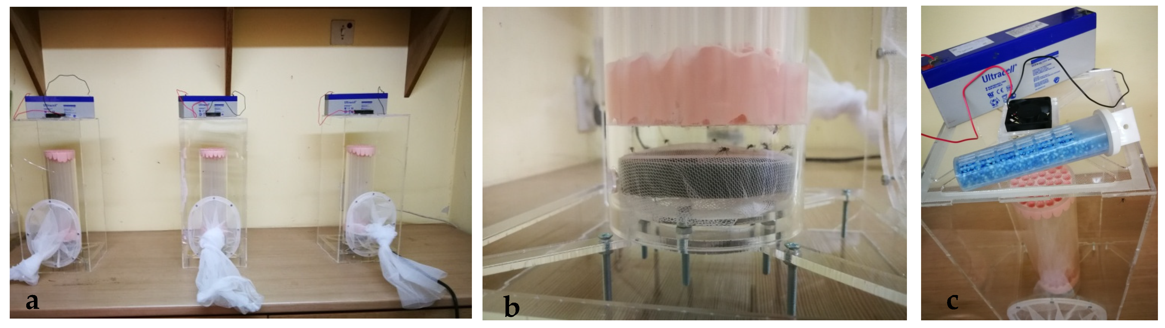 Insects 13 00504 g001