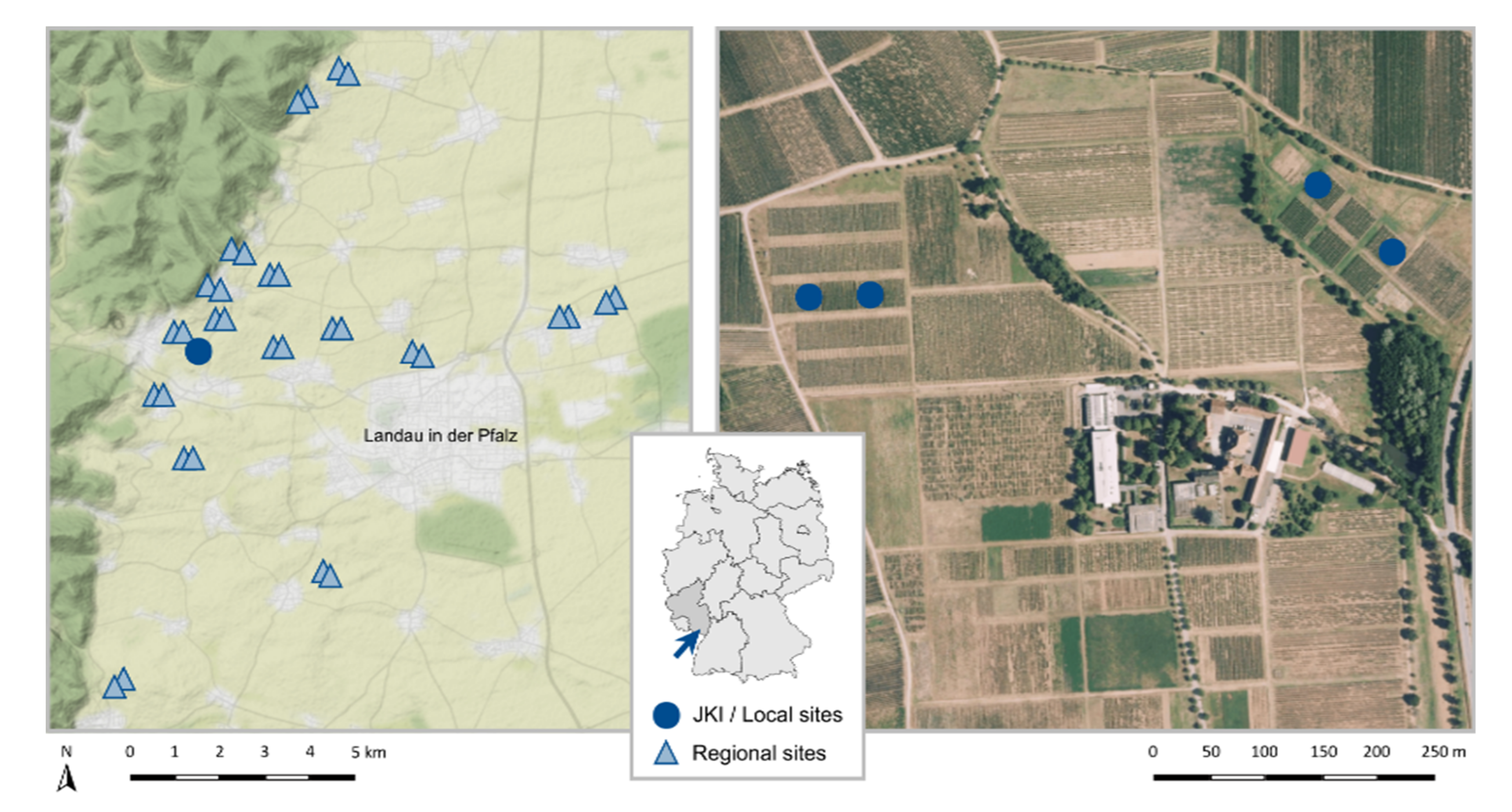 Insects 13 00507 g001