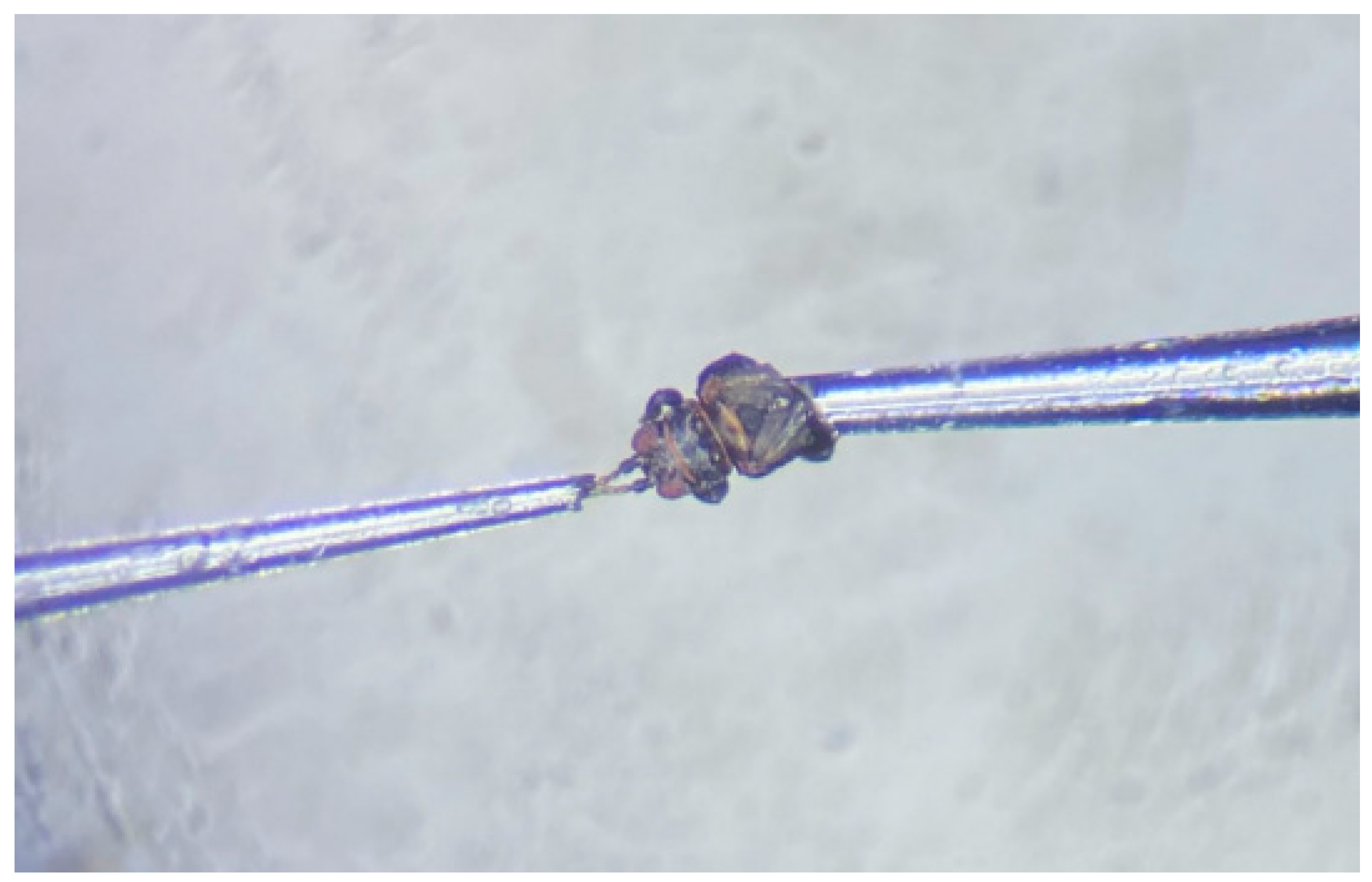 Insects | Free Full-Text | Evaluation of Selected Plant Volatiles 