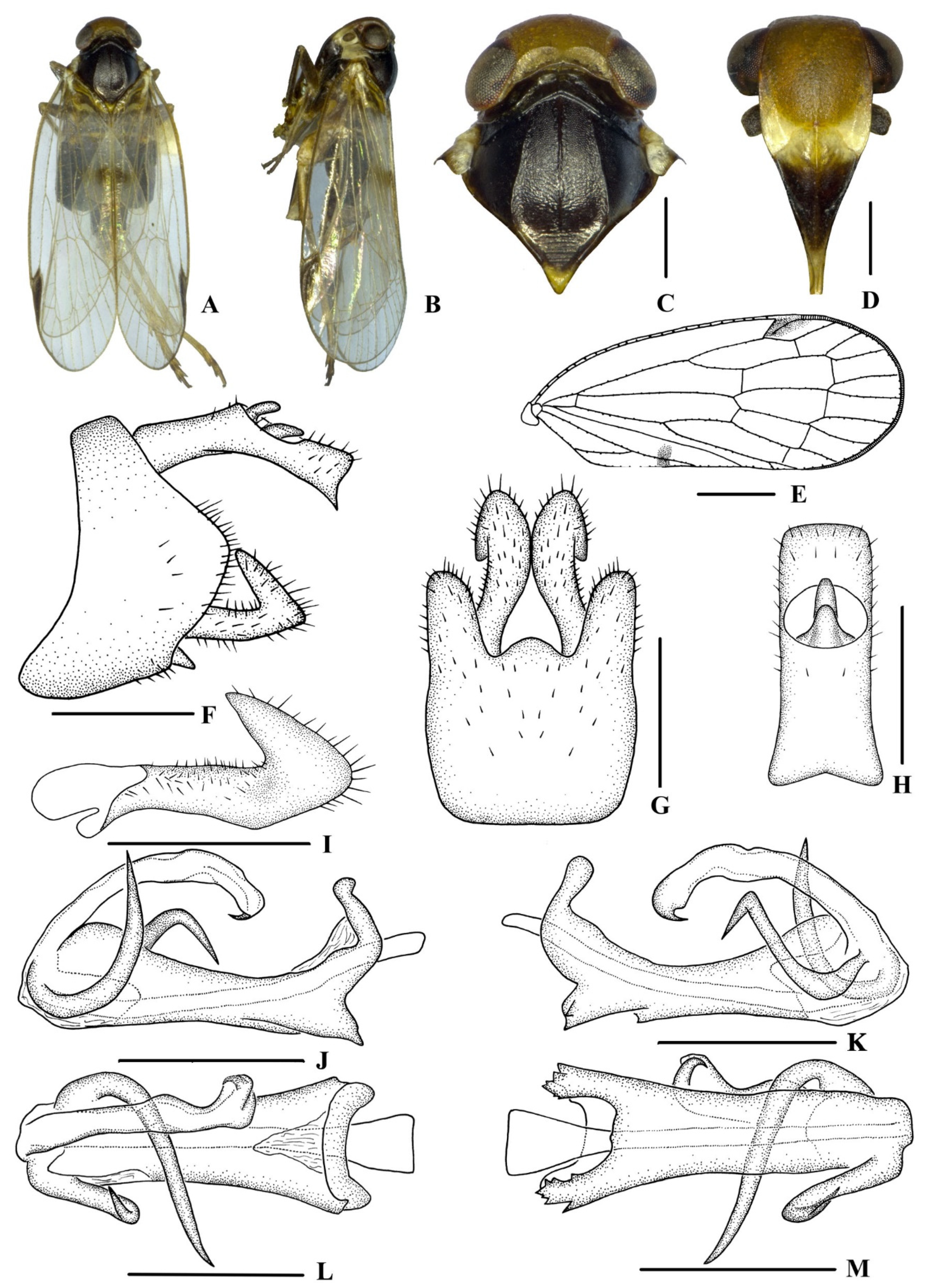 Insects 13 00512 g003 550