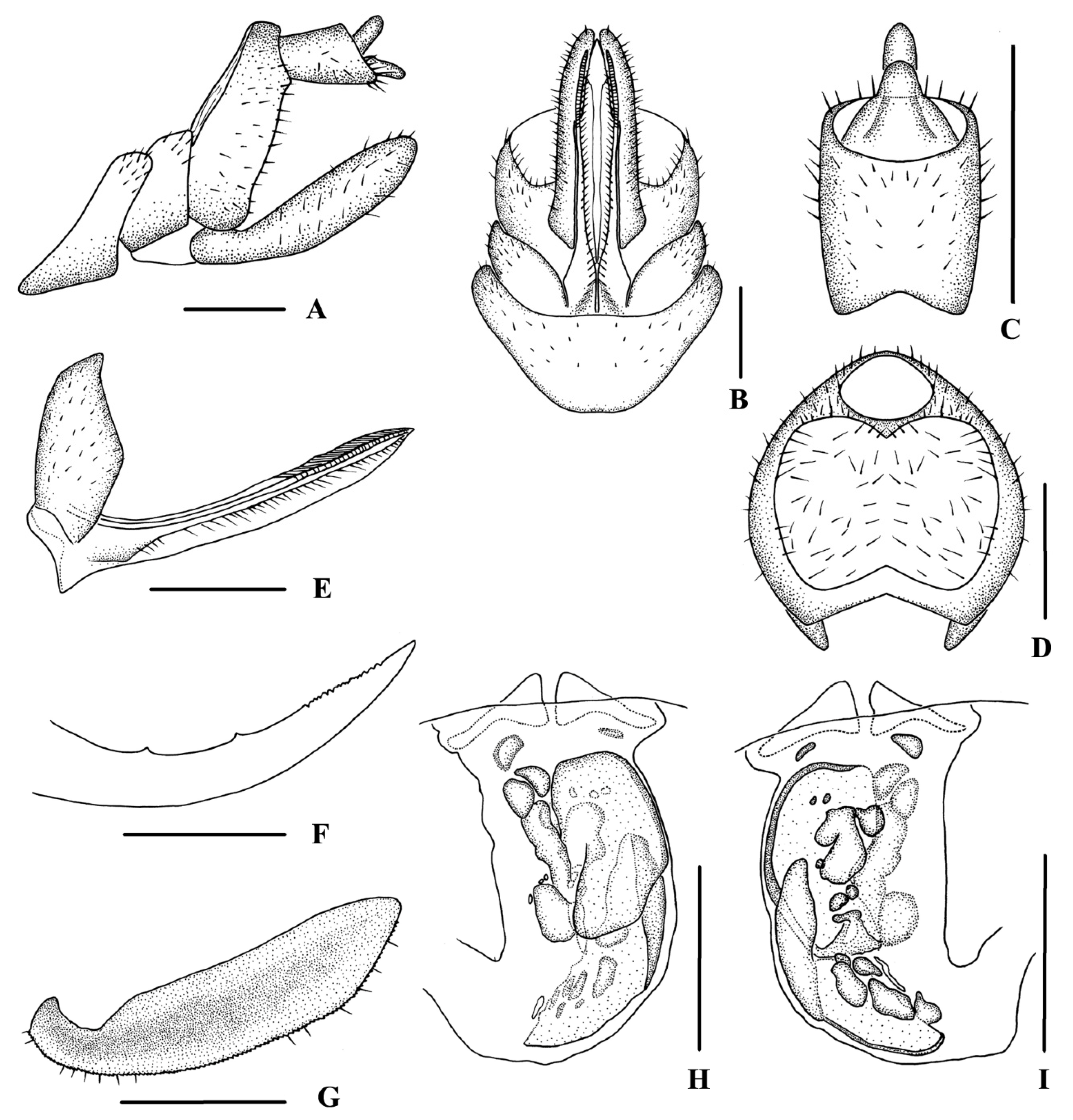 Insects 13 00512 g004 550