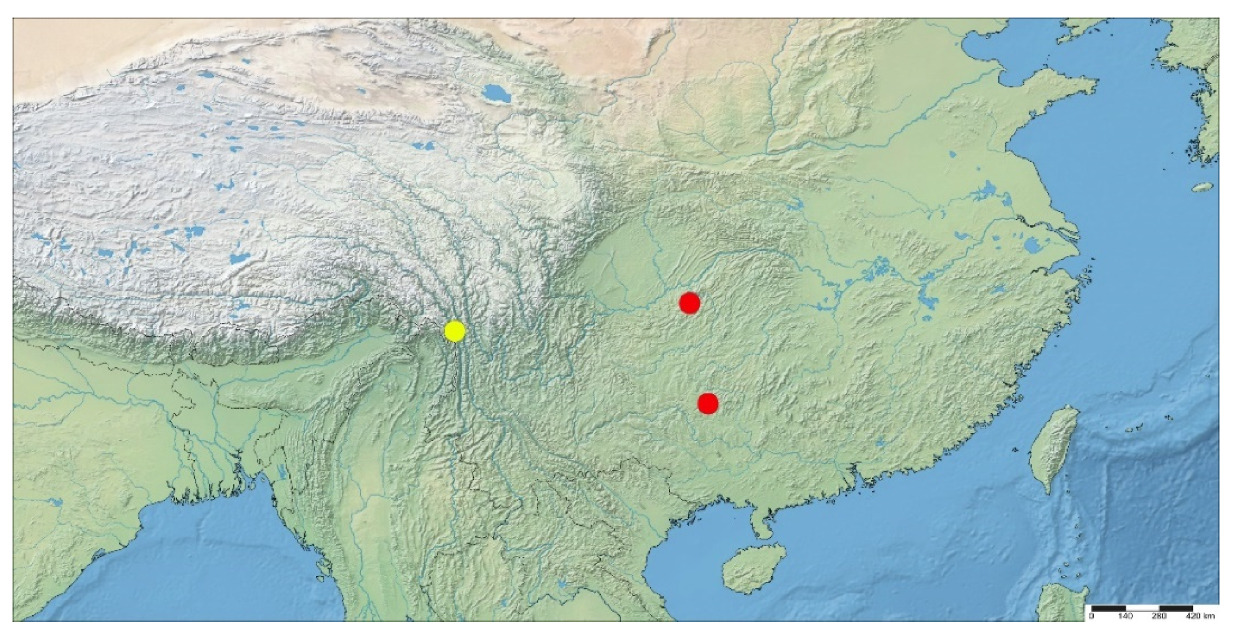 Insects 13 00512 g005 550