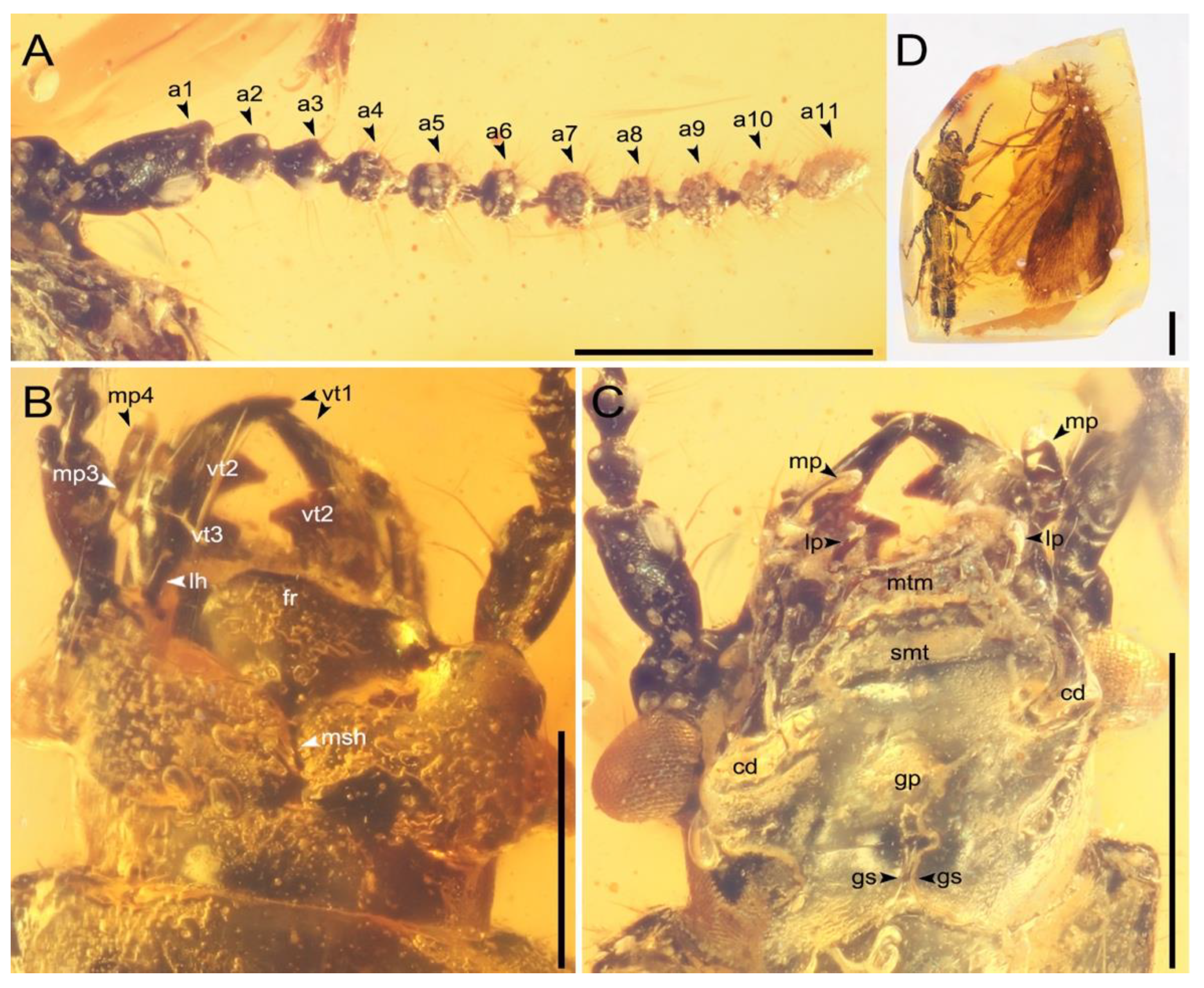 Insects 13 00513 g002