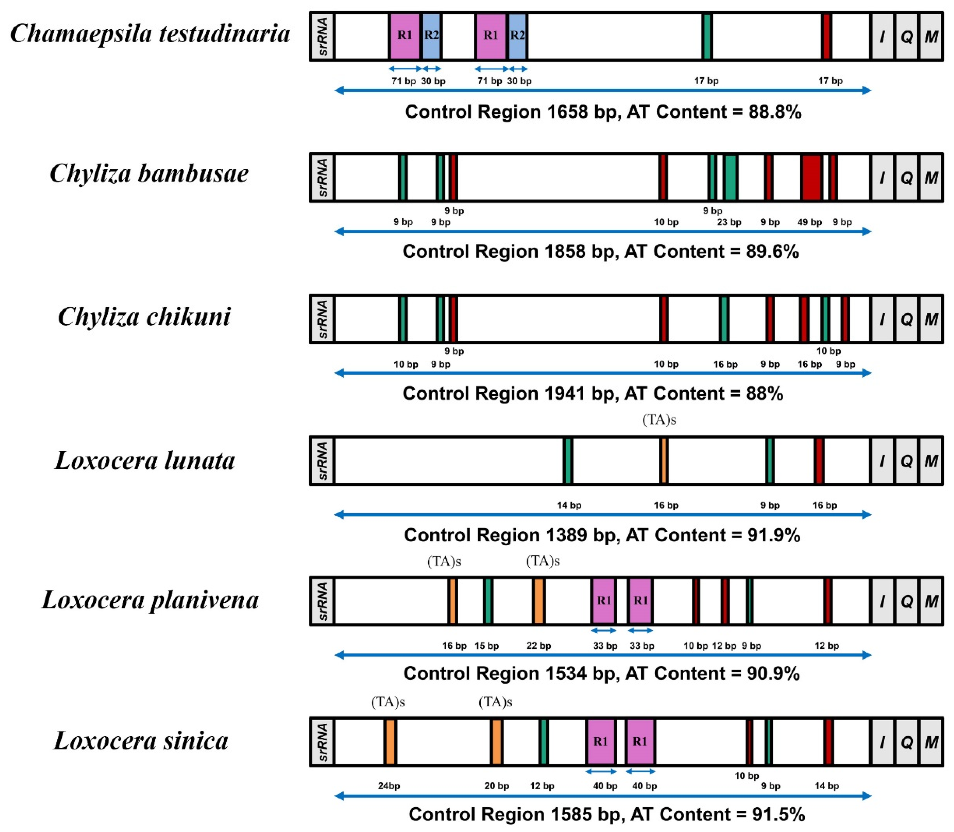 Insects 13 00518 g005 550
