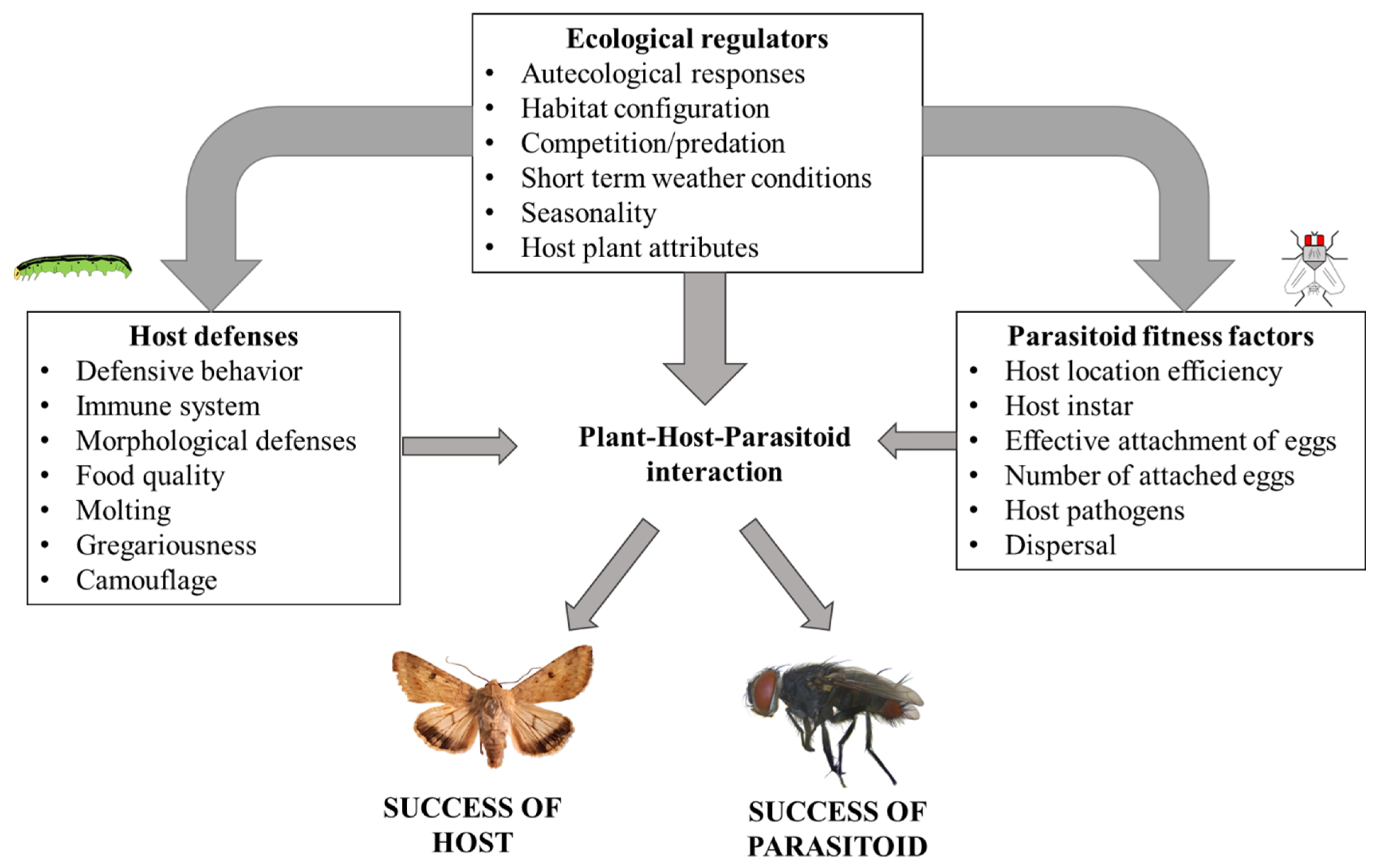 Insects 13 00519 g010