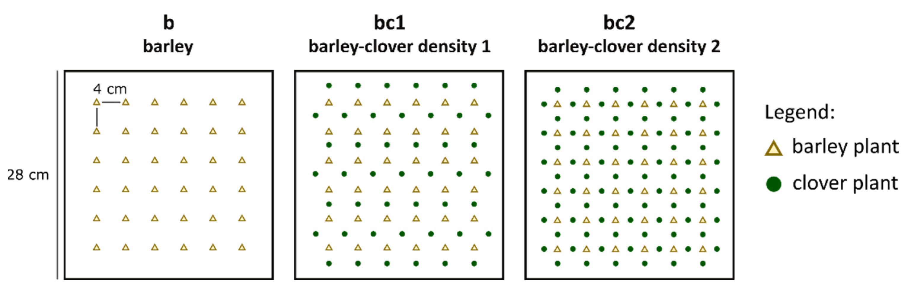 Insects 13 00521 g001 550