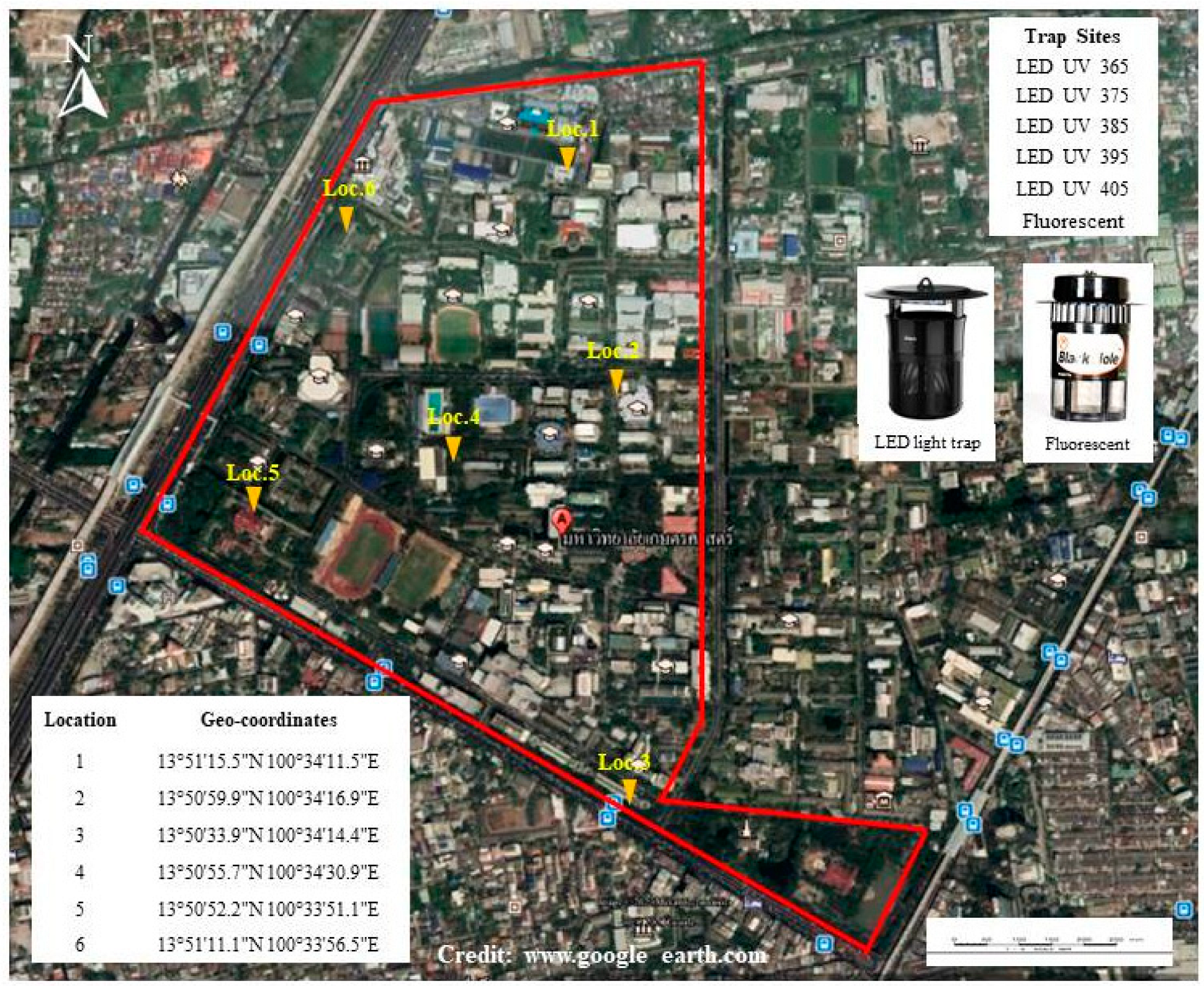 Insects 13 00526 g001