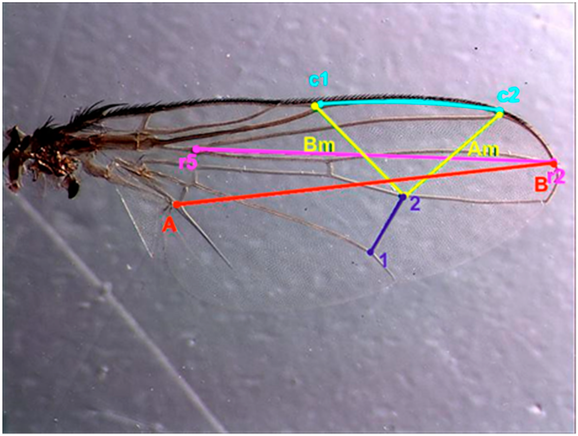 Insects 13 00531 g001 Insects 13 00531 g001
