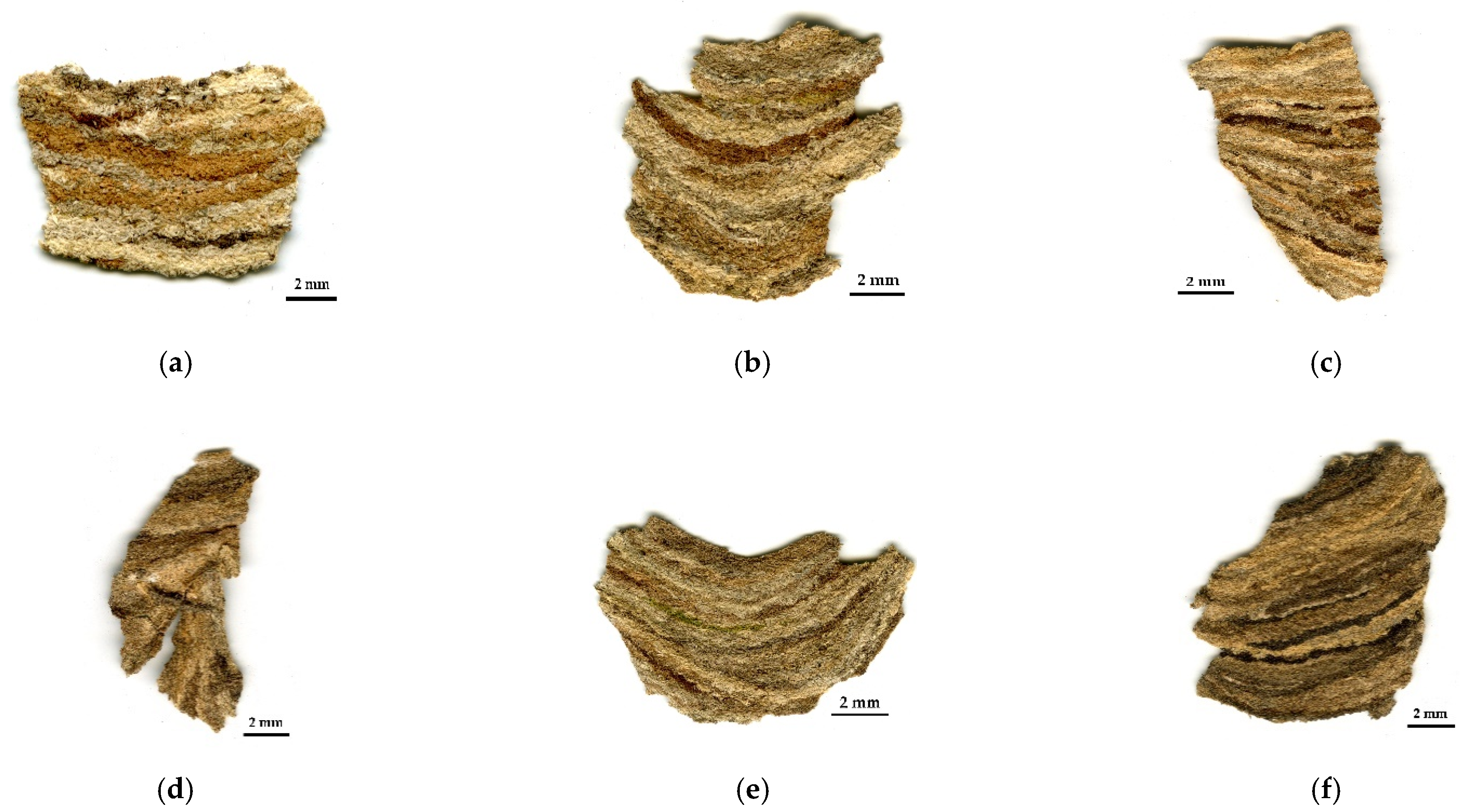 Insects 13 00537 g002