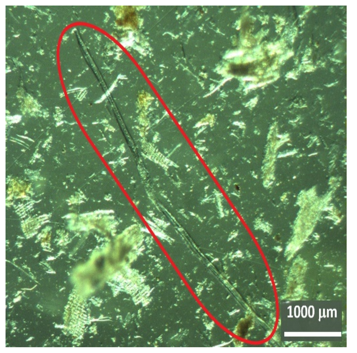 Insects 13 00537 g007