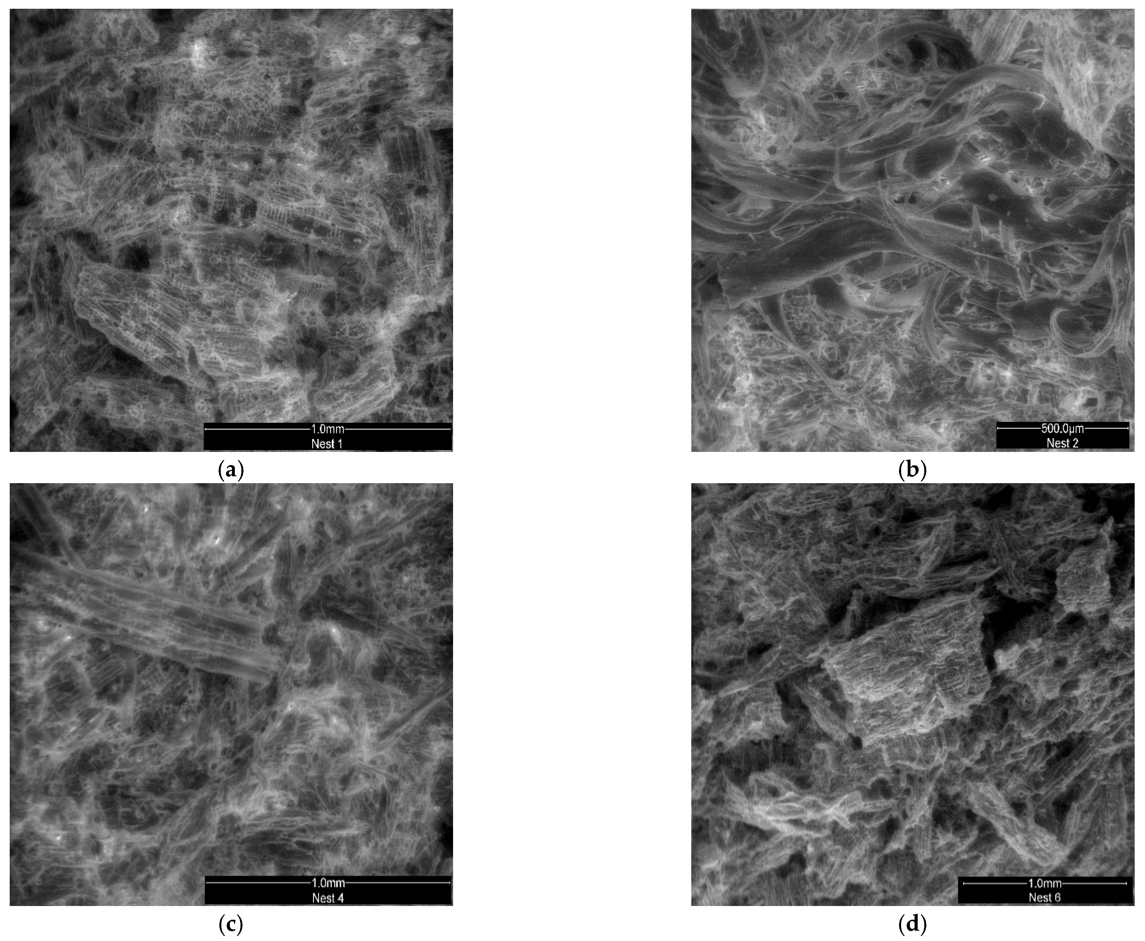 Insects 13 00537 g013