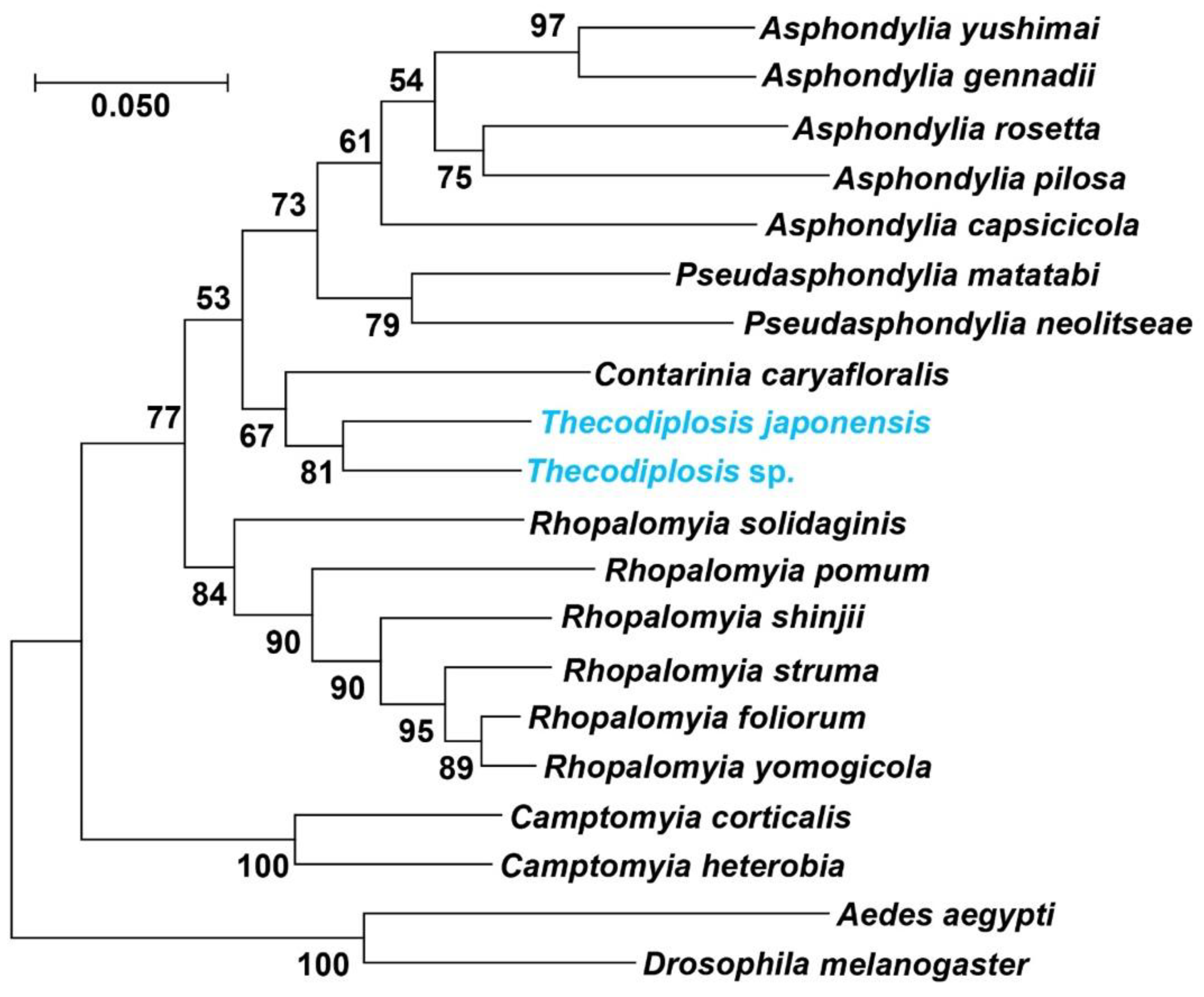 Insects 13 00540 g001 Insects 13 00540 g001
