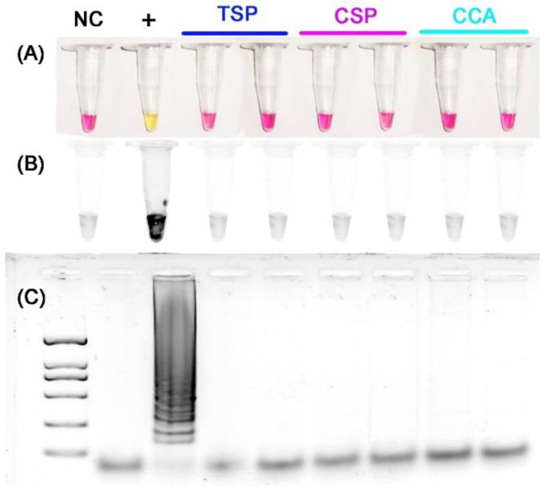 Insects 13 00540 g004 Insects 13 00540 g004