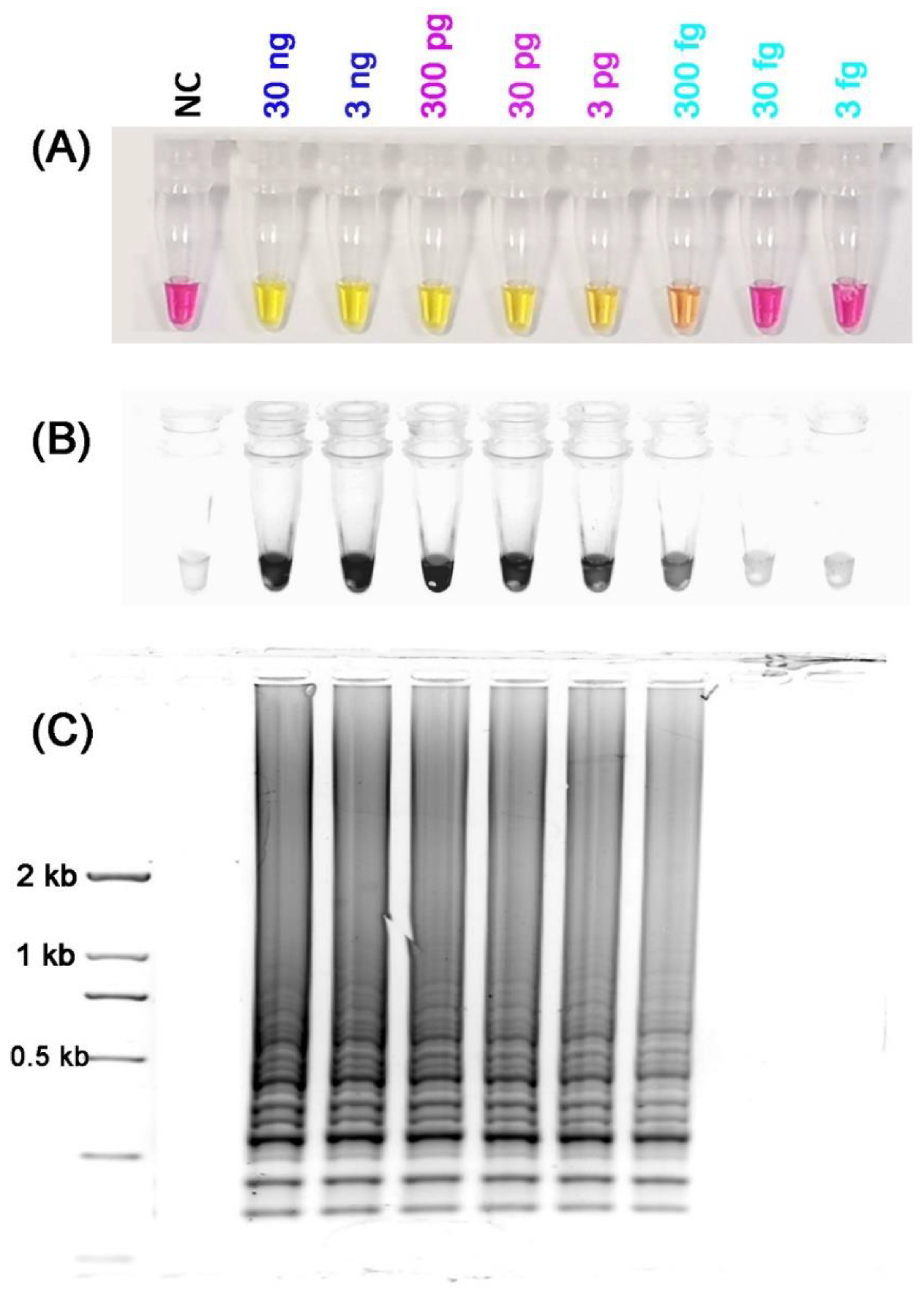 Insects 13 00540 g005 Insects 13 00540 g005