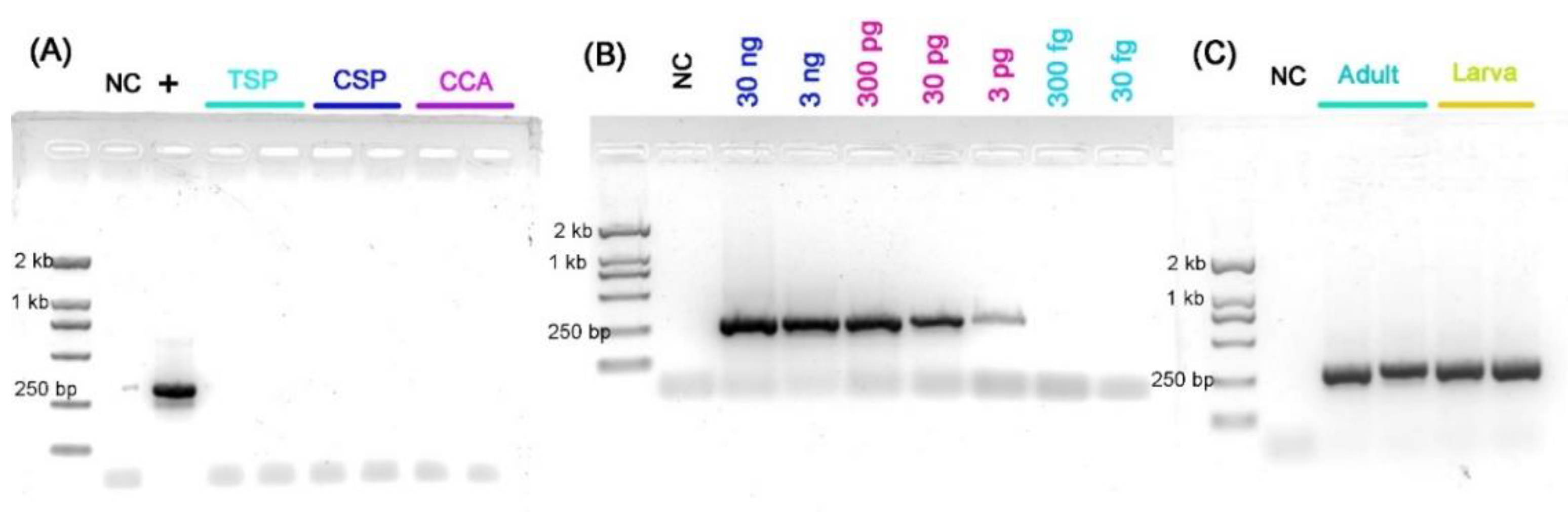 Insects 13 00540 g007 Insects 13 00540 g007