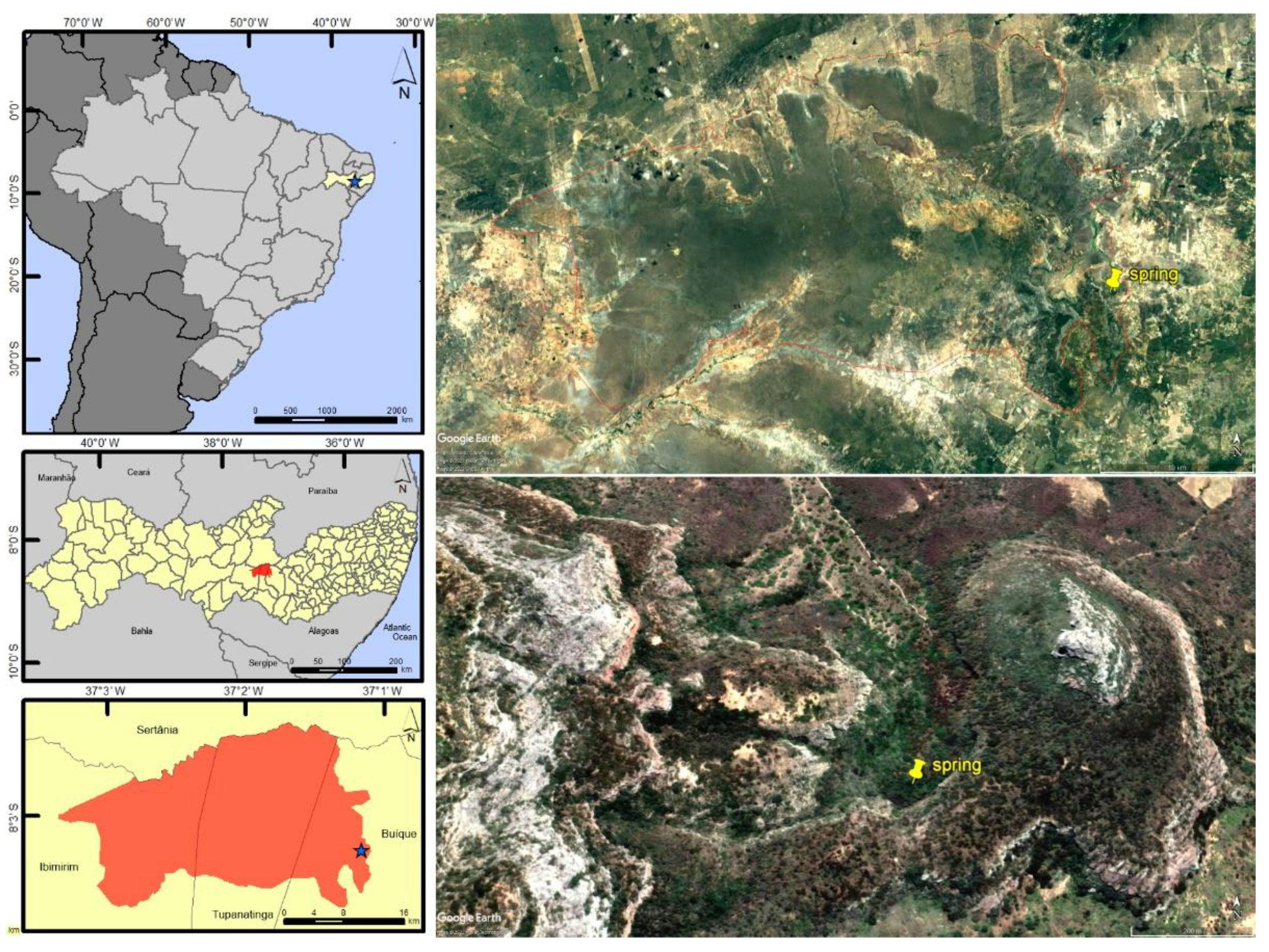 Insects 13 00541 g004 Insects 13 00541 g004