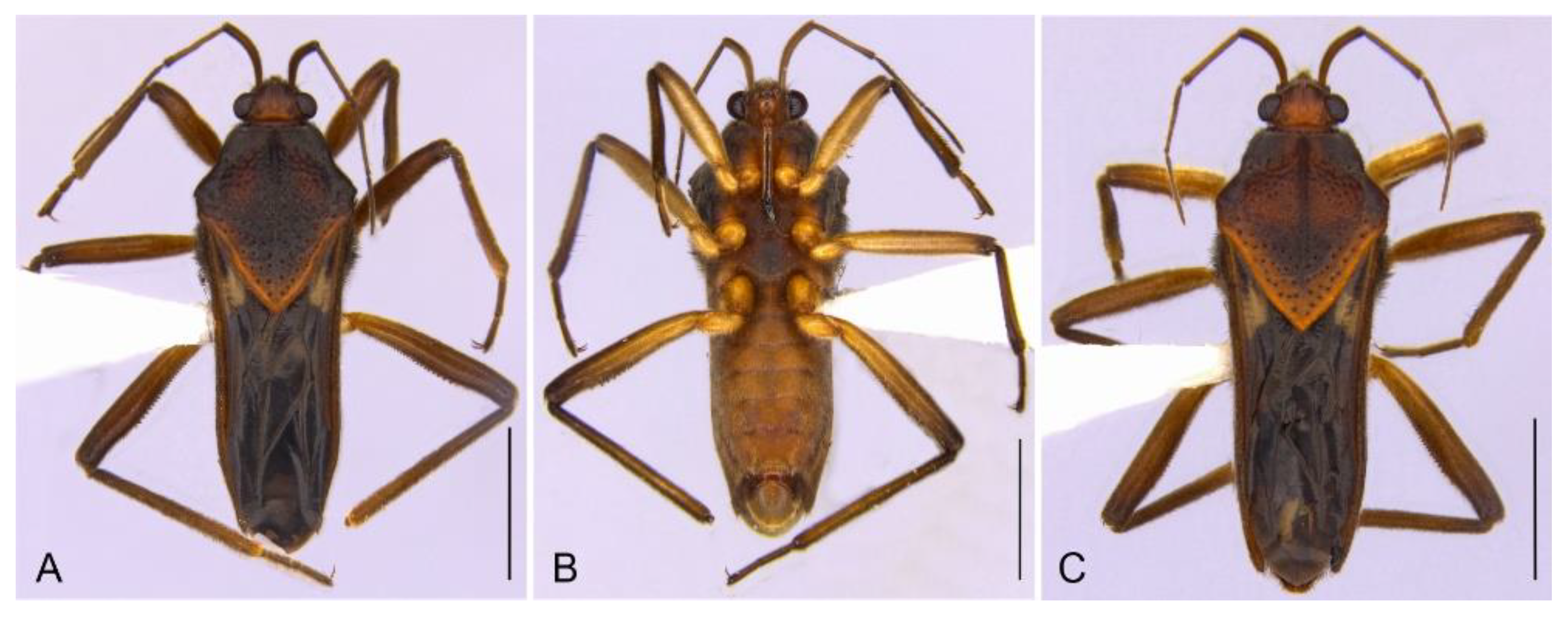 Insects 13 00541 g010 Insects 13 00541 g010